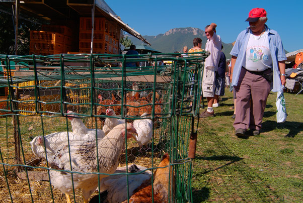 798�me Foire aux dindes de Lagrand