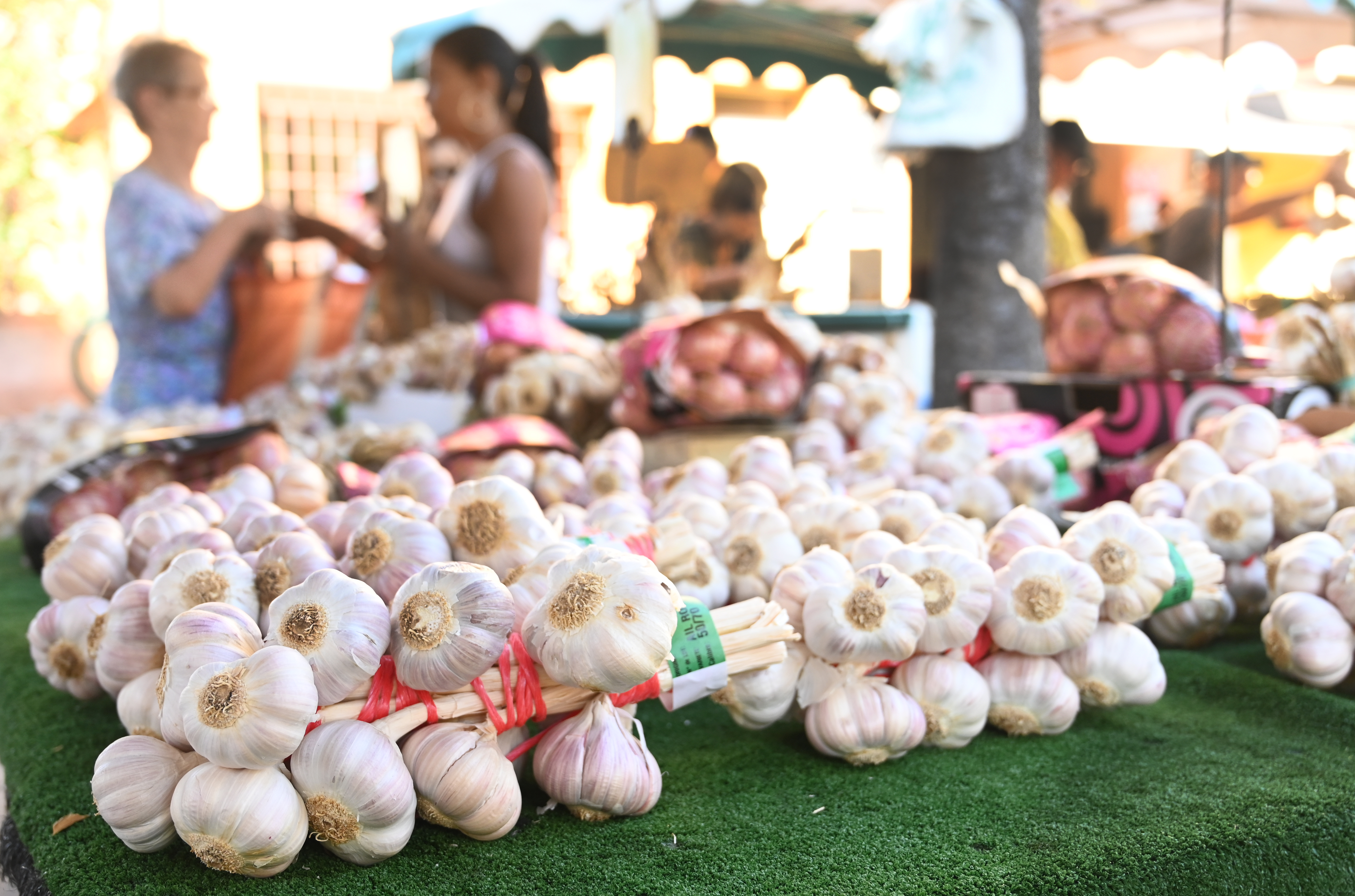Foire  l'Al,  l'Oignon et au Boudin