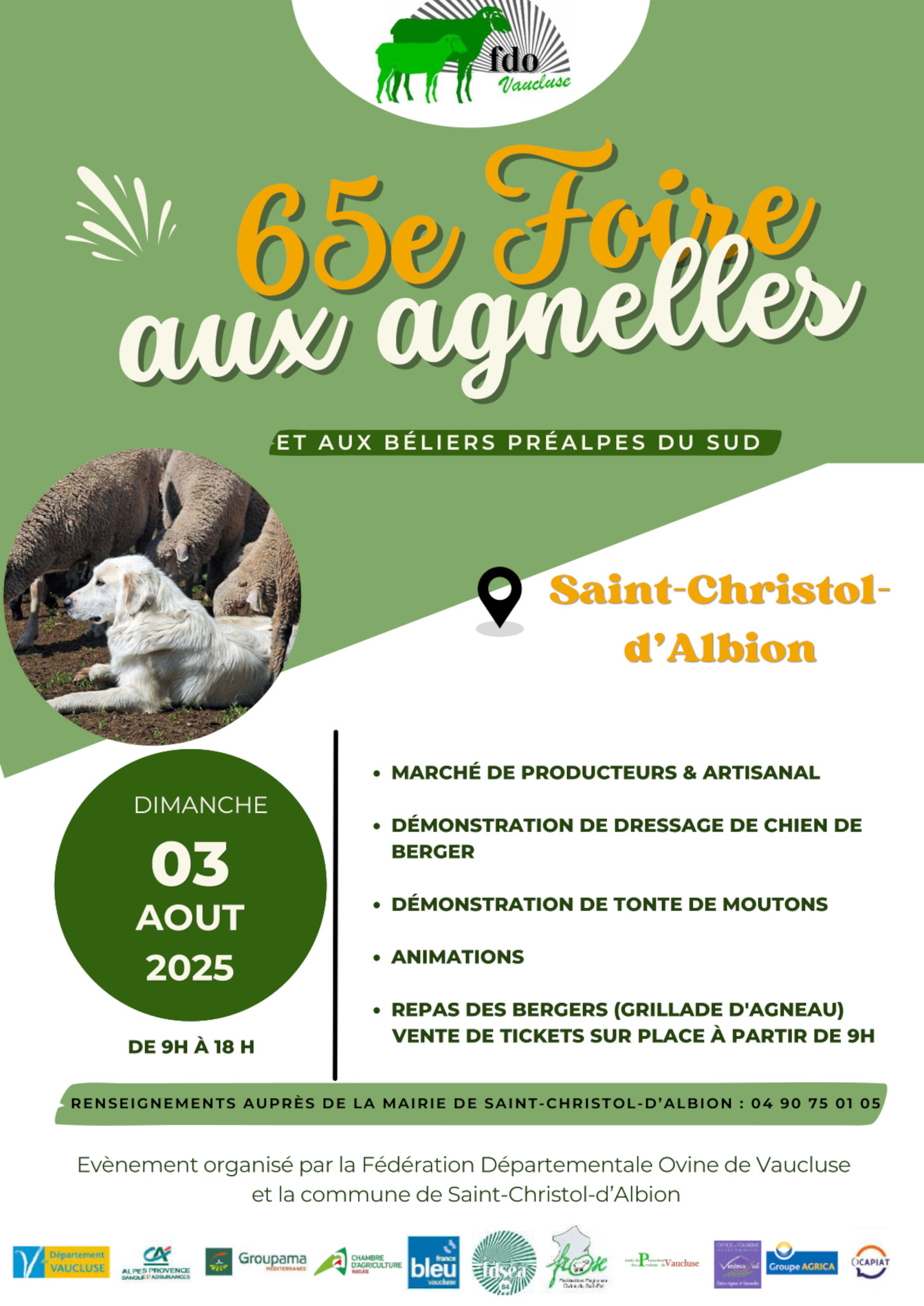 Foire et concours aux agnelles et aux bliers pralpes du Sud