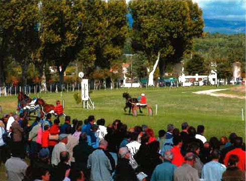 Courses hippiques