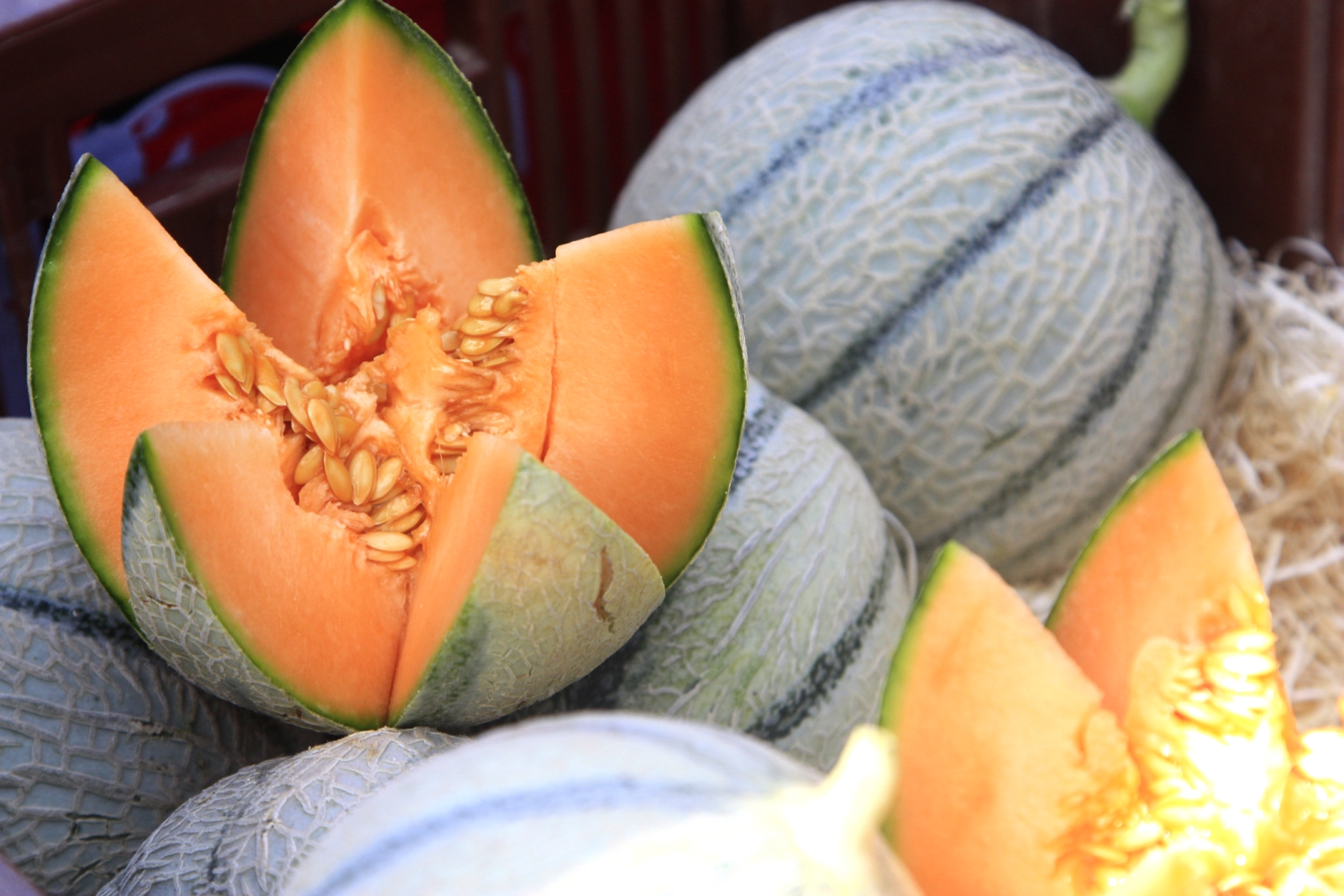 F�te du Melon et du Terroir
