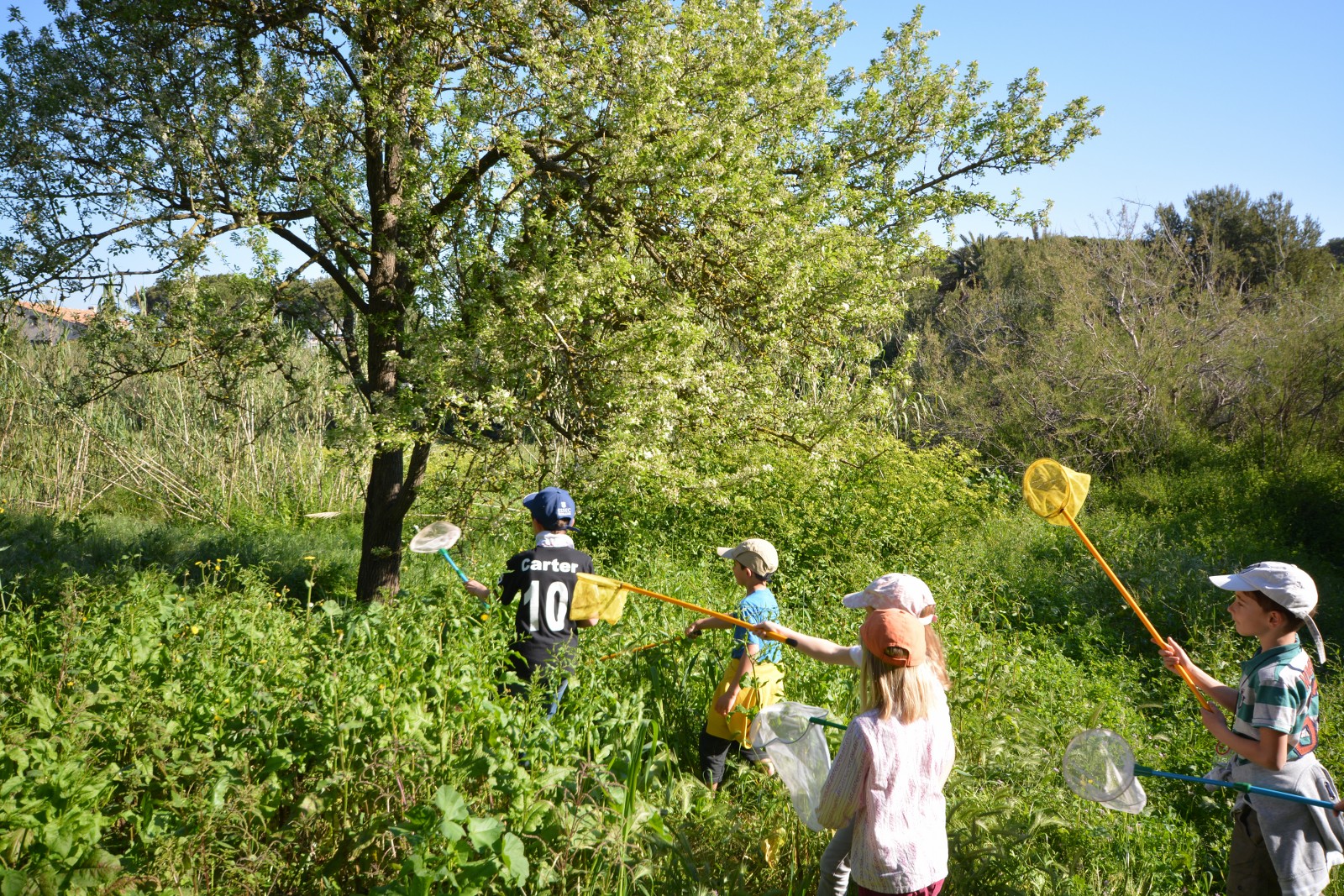 Le petit parcours dans le maquis (visite guide spcial enfants)
