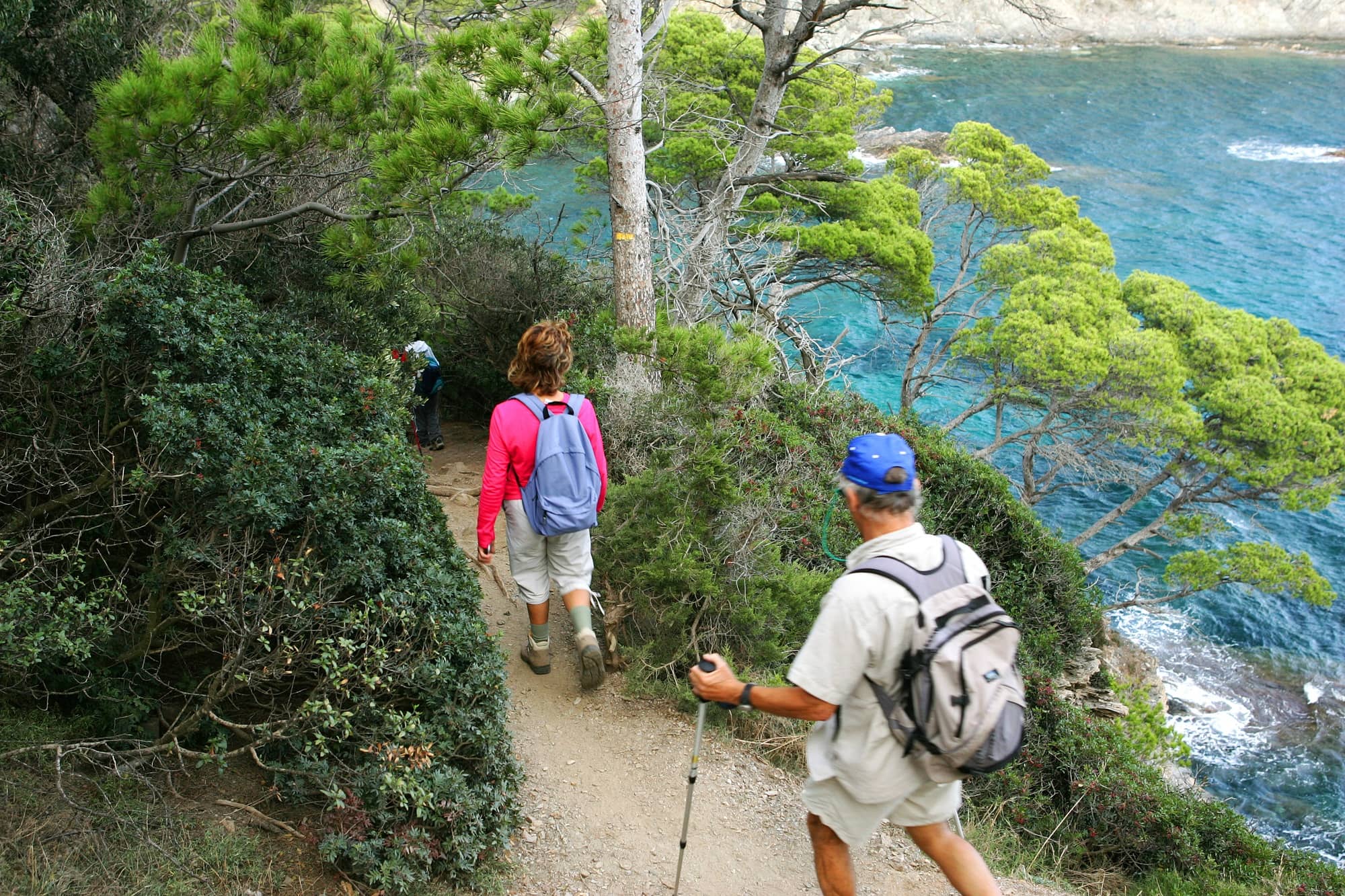 Visite guide  la dcouverte de Porquerolles, hors des sentiers battus
