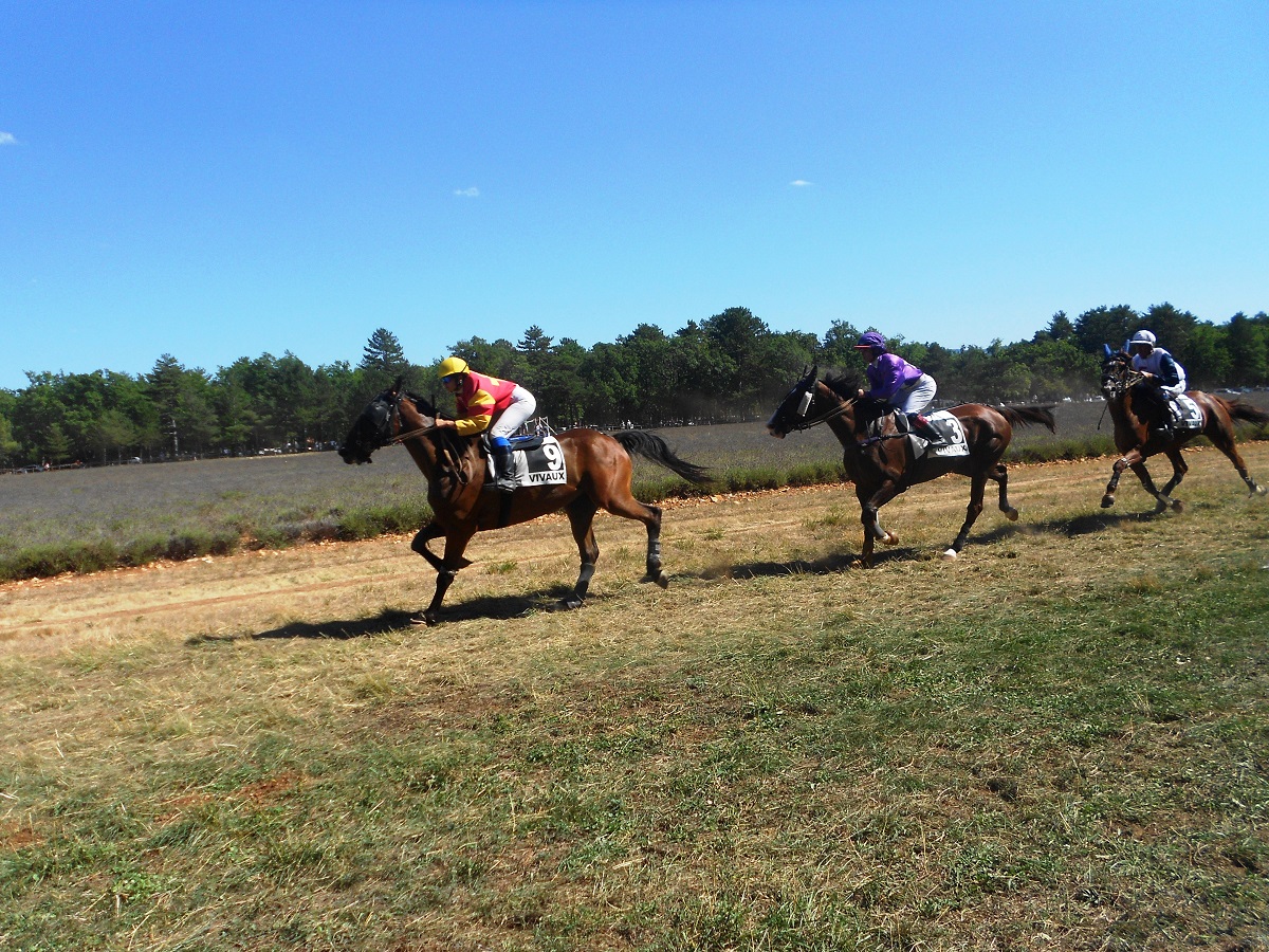 Courses hippiques annuelles de Sault