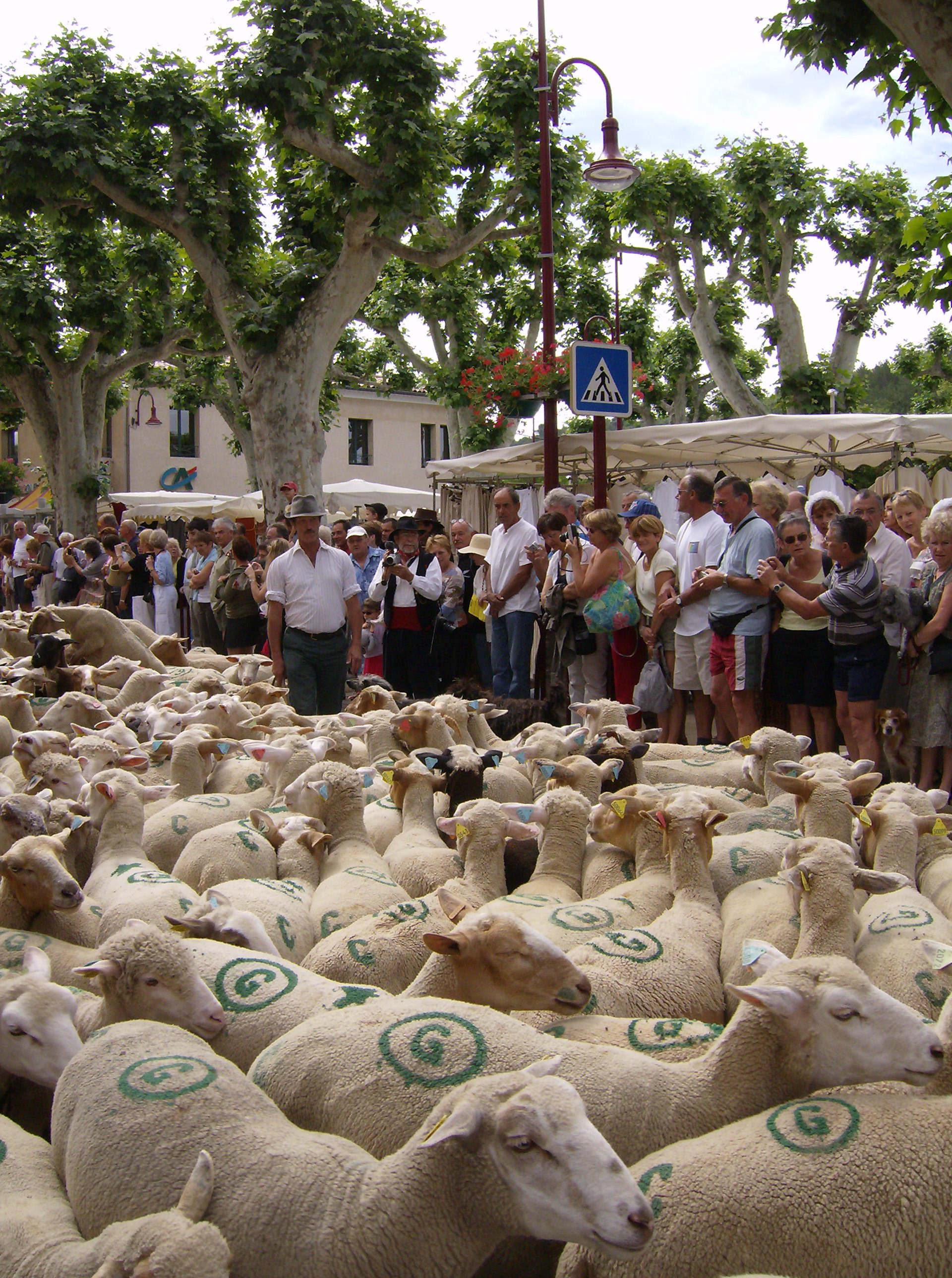 Fte de la Transhumance