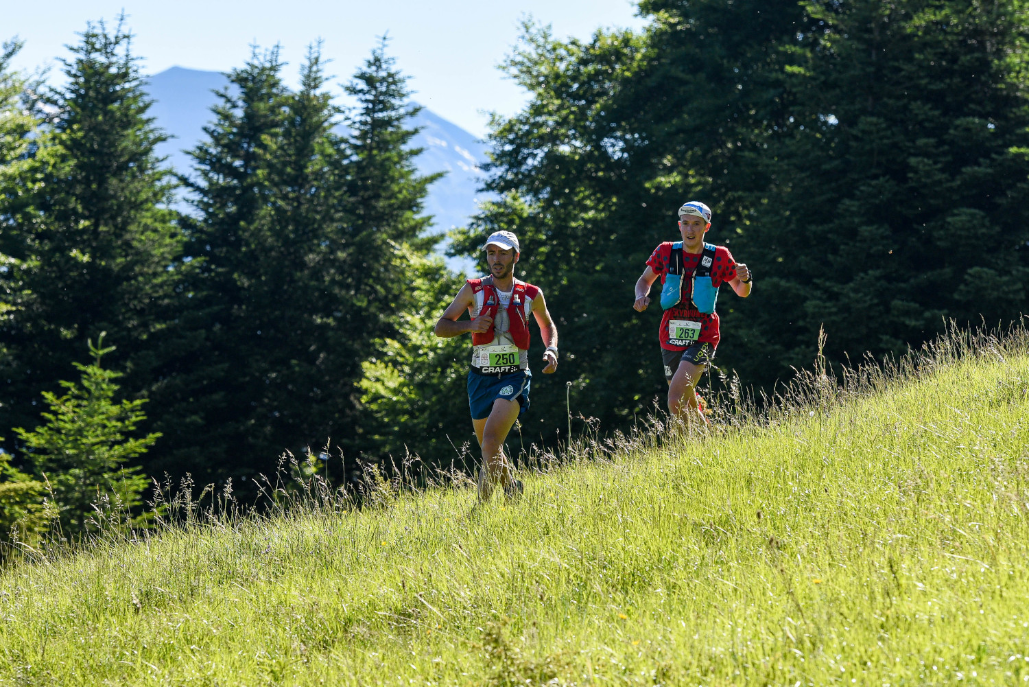 Trail du Col du Noyer