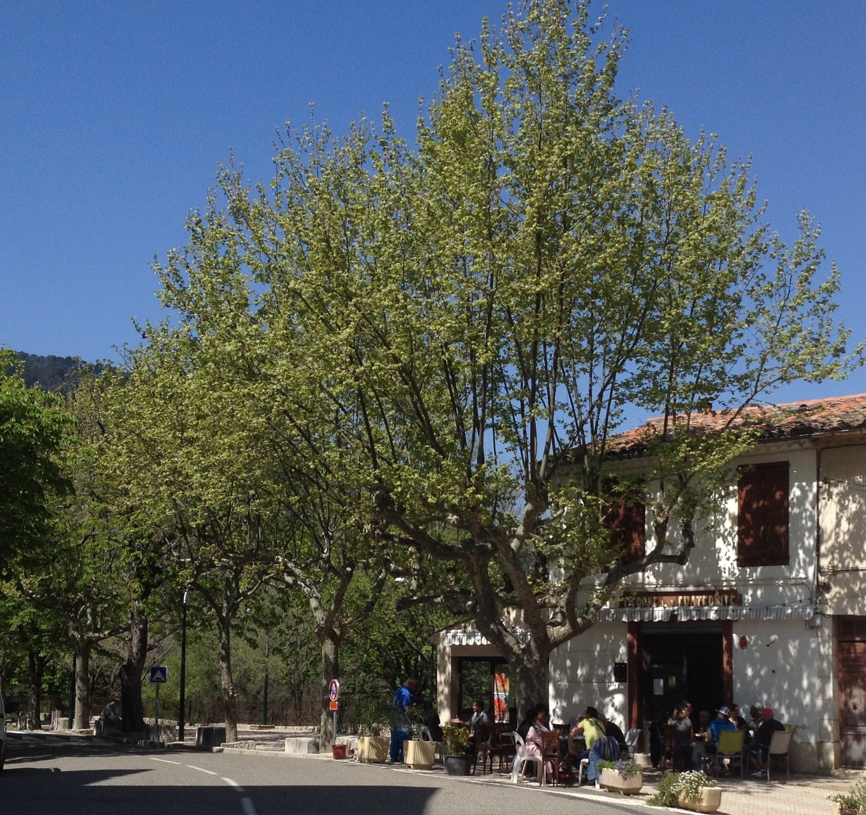 Vide Grenier