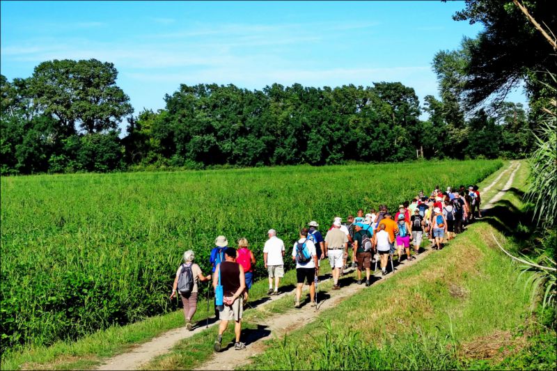 Sortie d�couverte et patrimoine : Autour de Saint-Christol-de-Rodi�res (Gard)