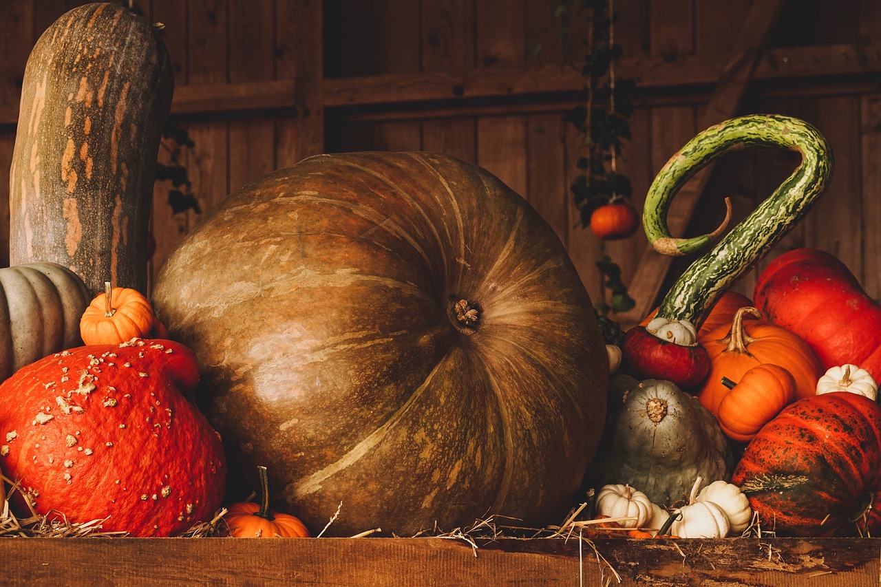Foire d'automne