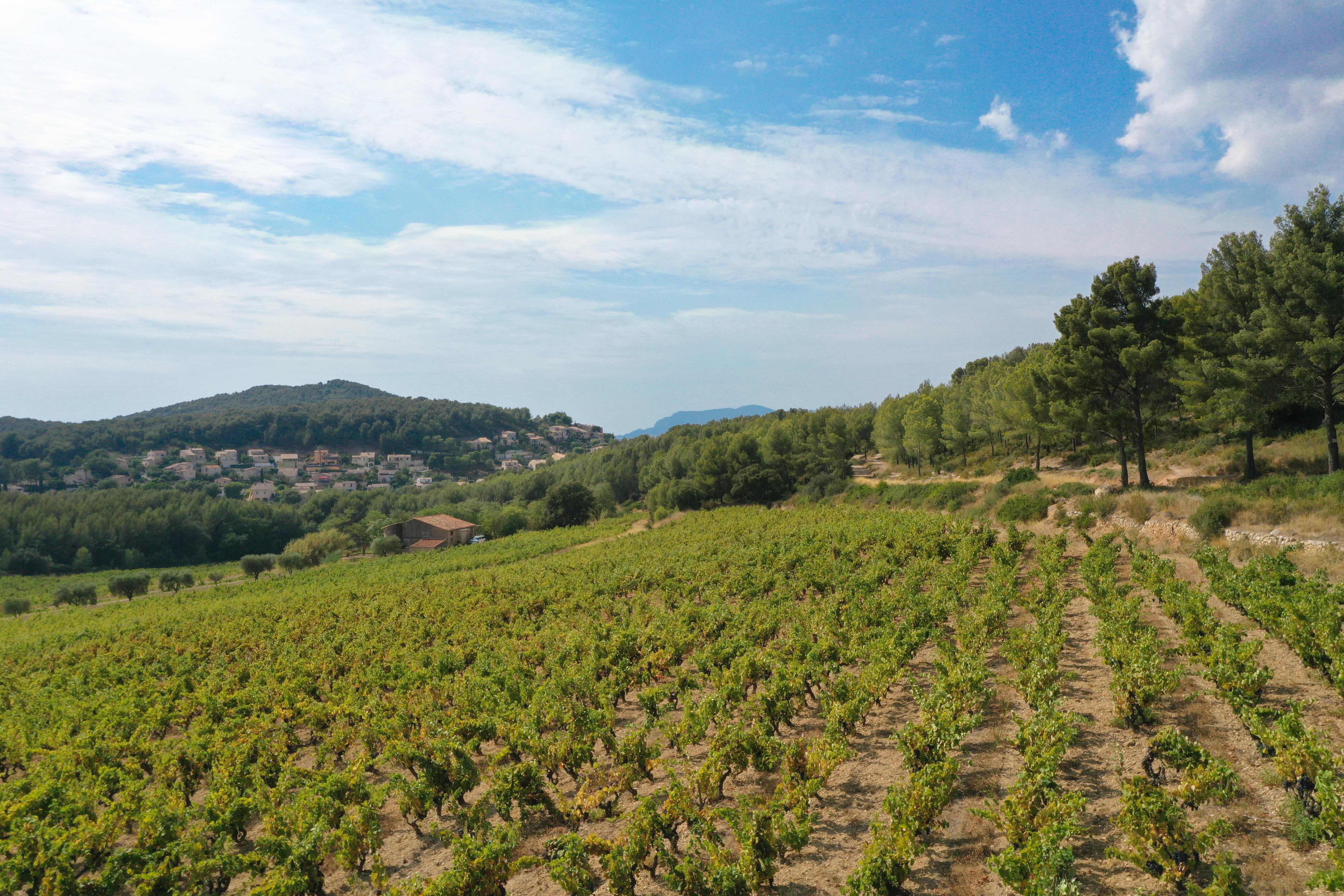 Saveurs et paysages