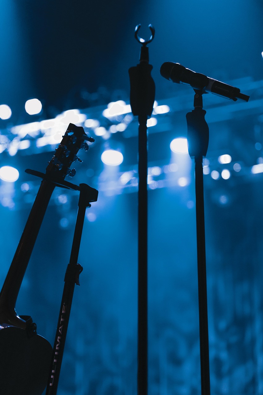 Concert du groupe 