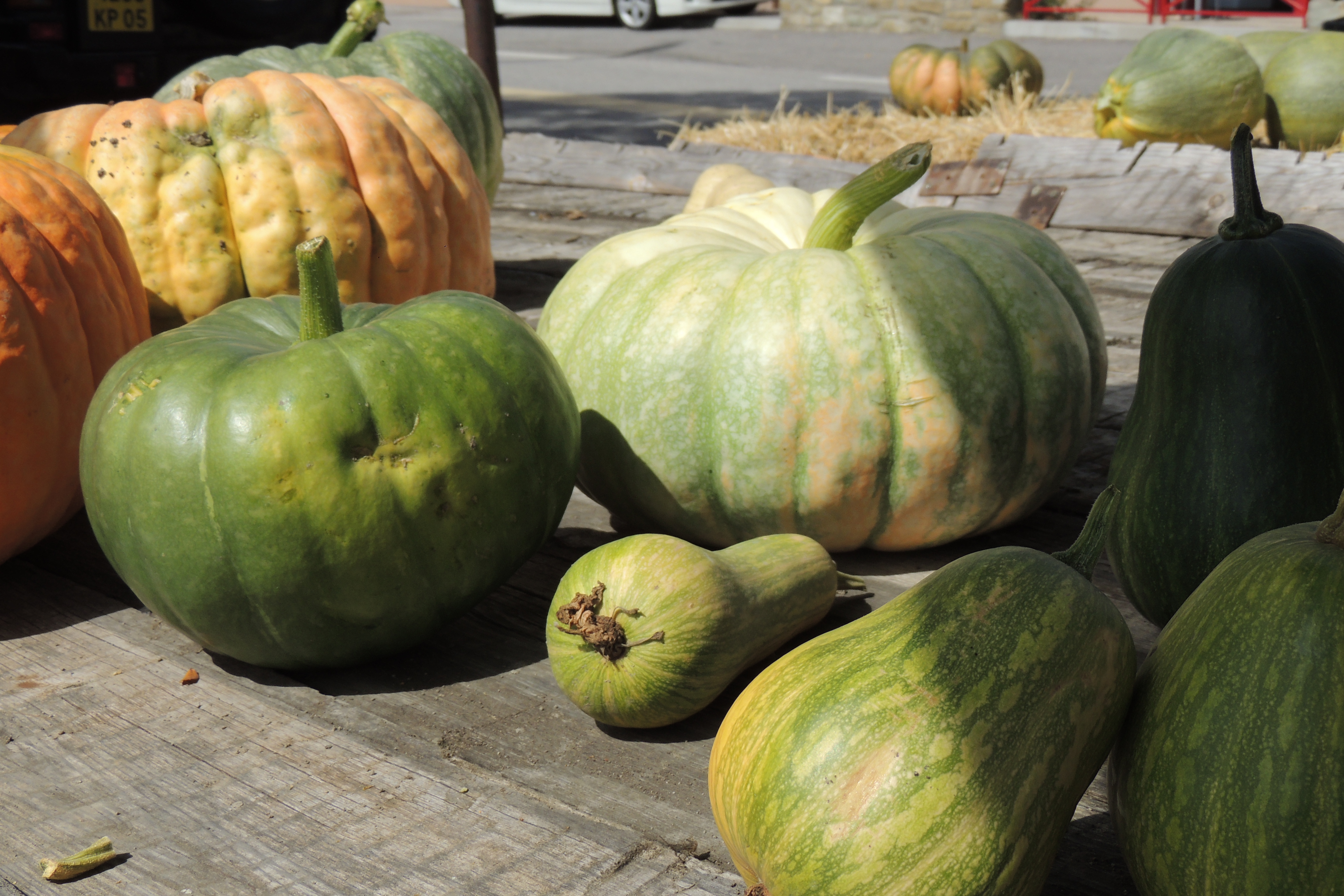 Foire aux courges