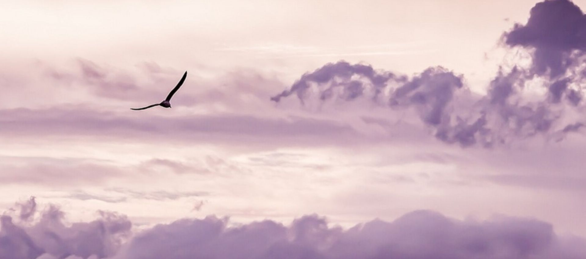 Printemps des Po�tes : rencontre musicale et po�tique