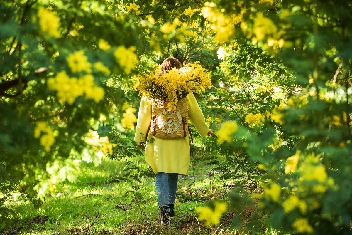 Randonnes pdestres : Au pays du mimosa - Le vallon de la Vernde