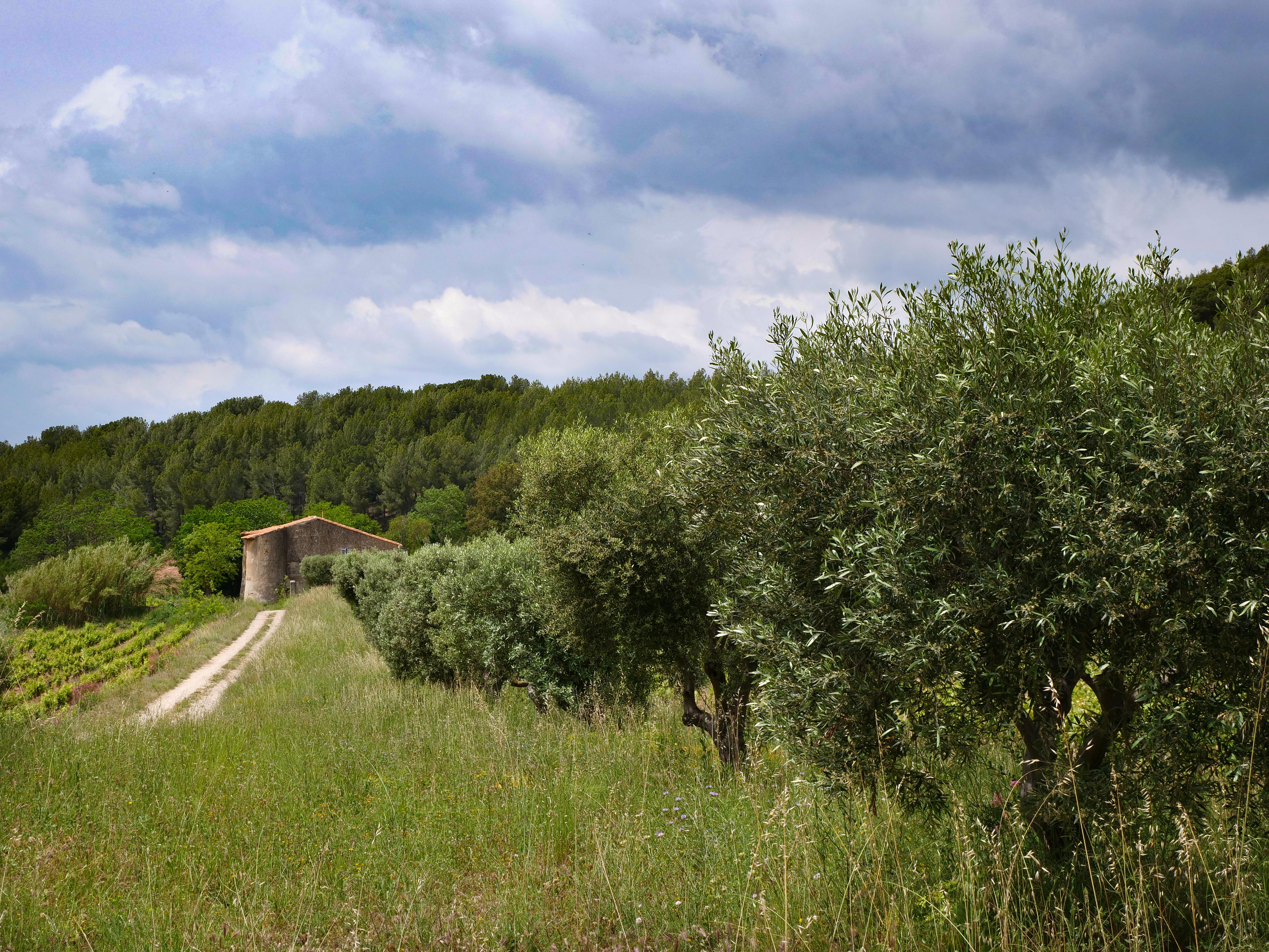 Balade nature commente du domaine de Nartette