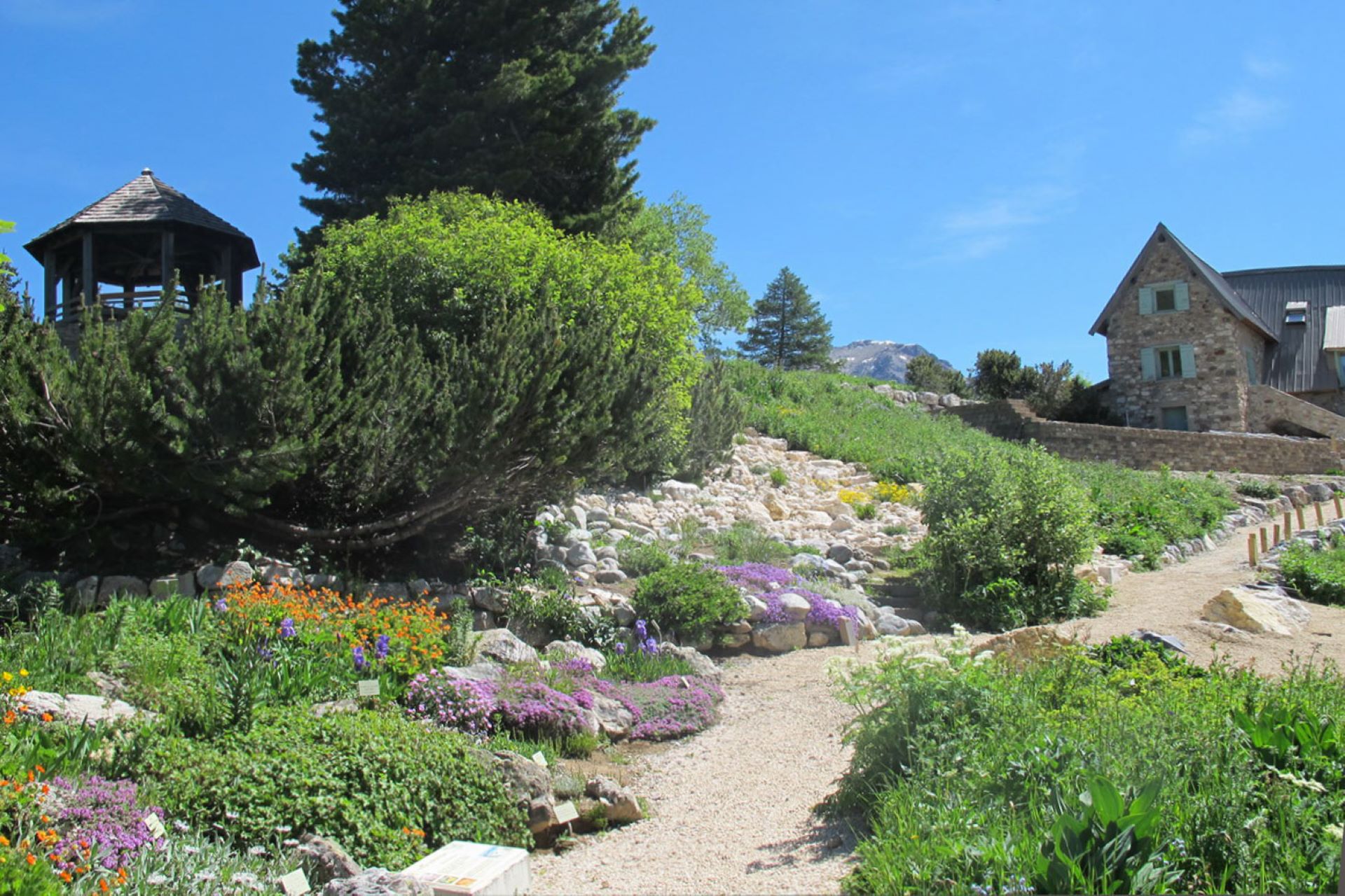 Visite guide du jardin du Lautaret