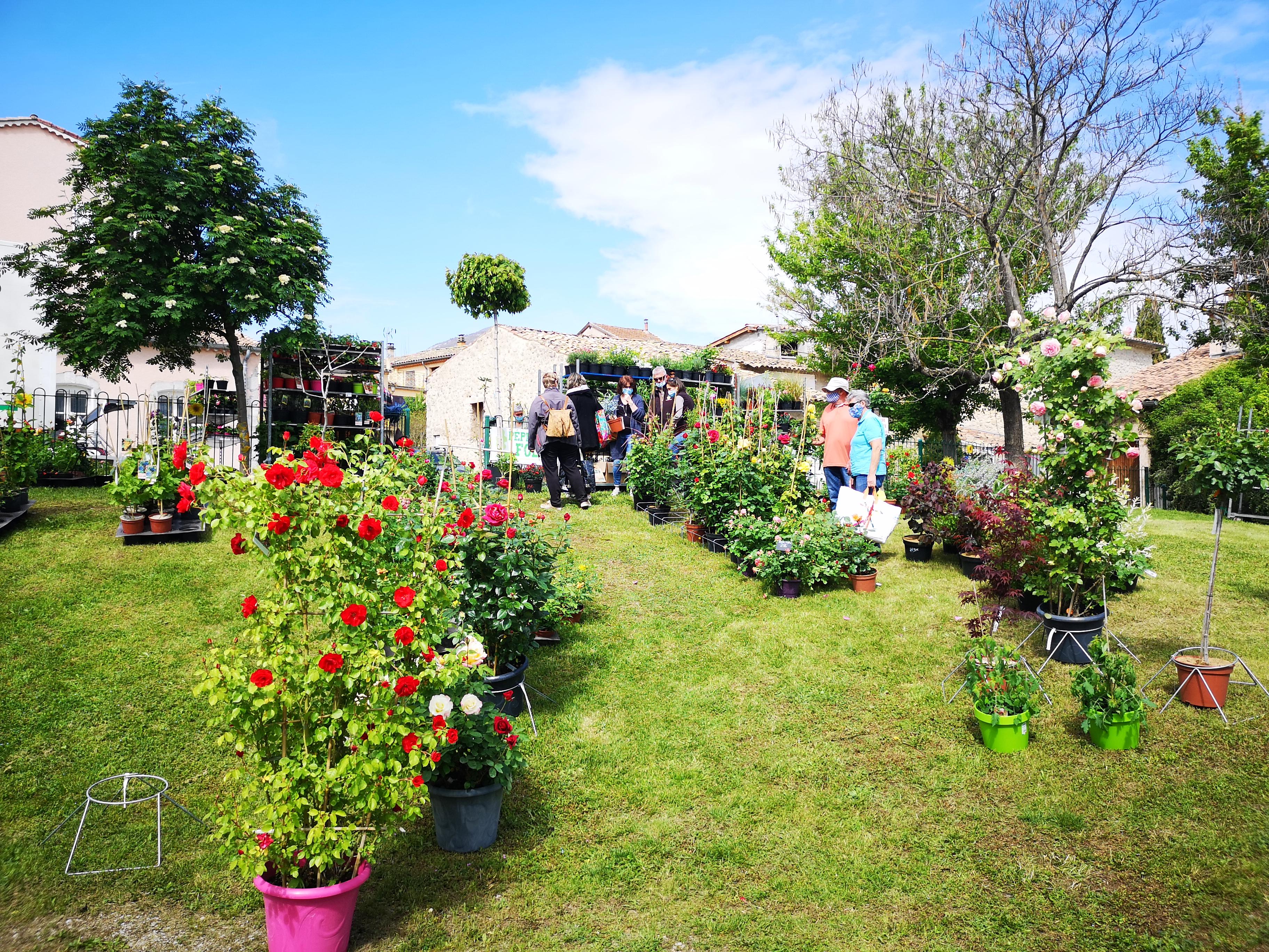 15me fte des plantes