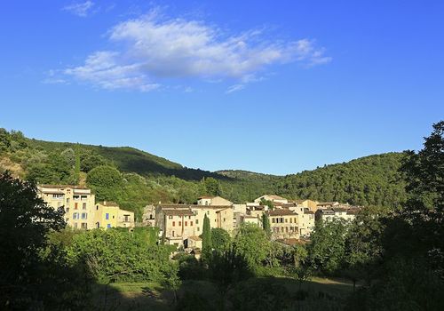 Fte de la Saint Roch