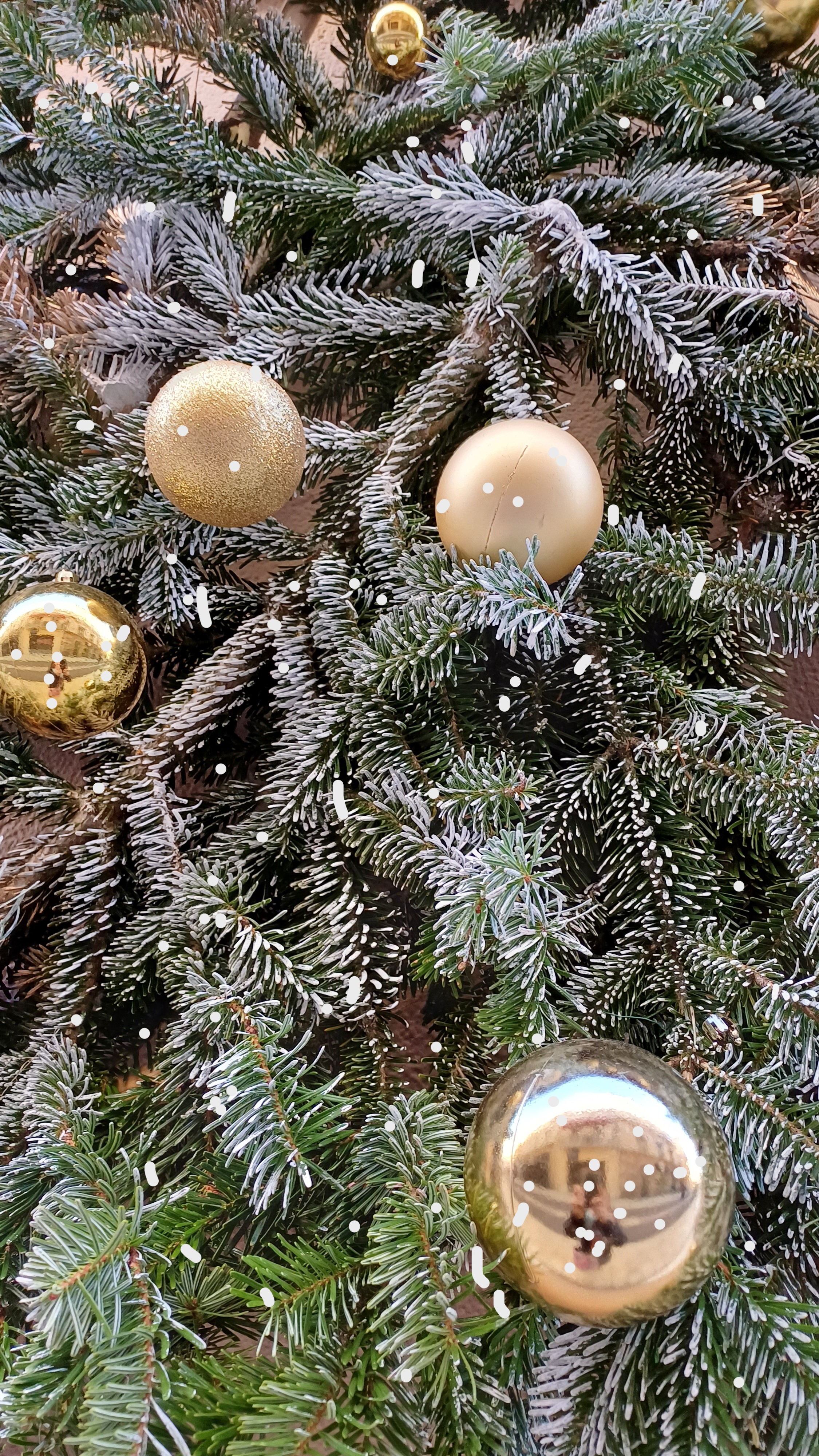 Les Samedis de l'Avent