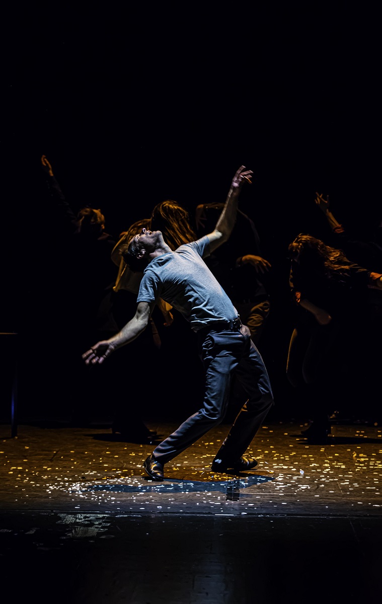 Spectacle Thtre : Thtre :  Espces menaces  par la Compagnie L'Amphitryon thtre