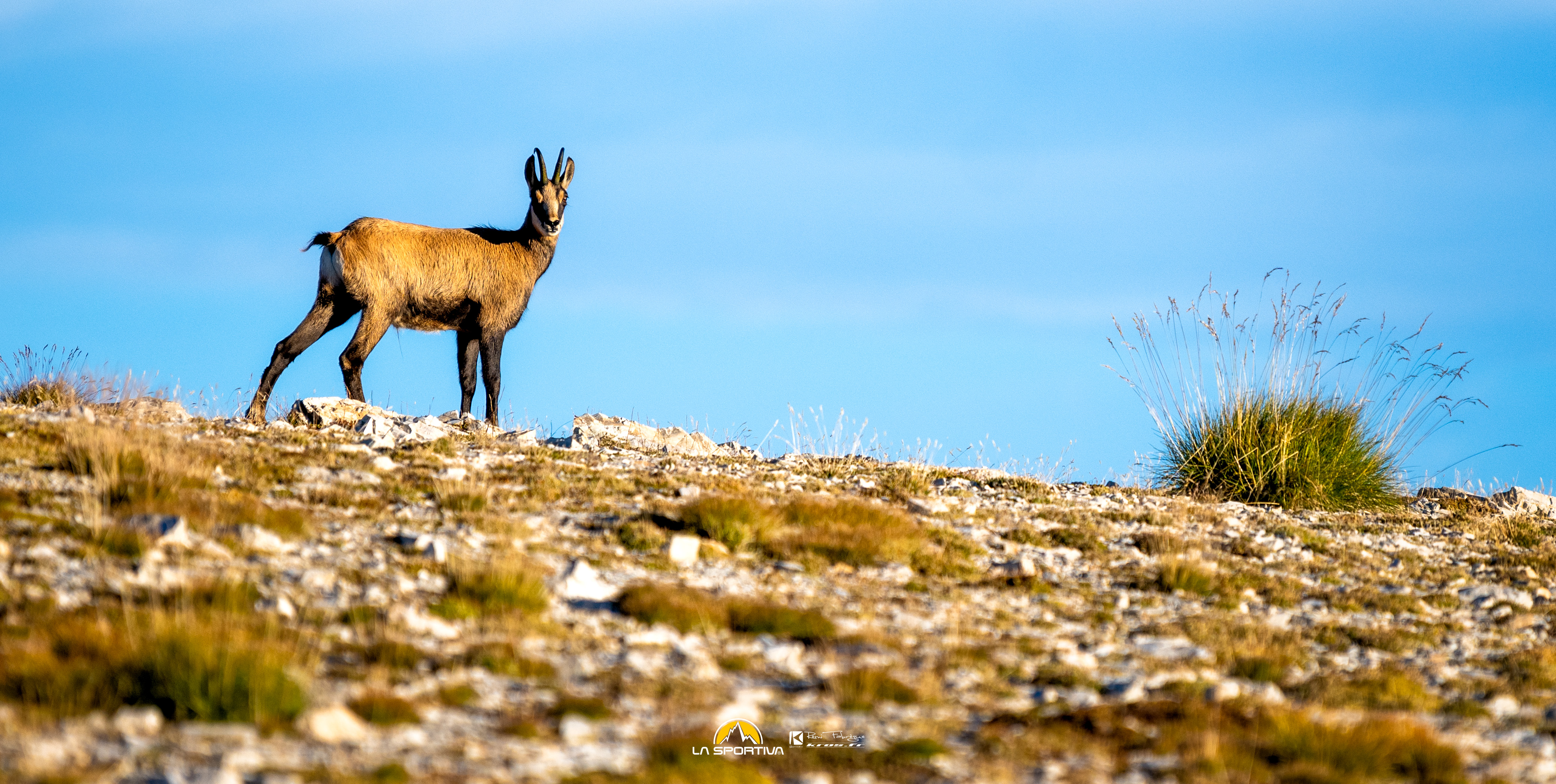 Sortie Natura 2000 