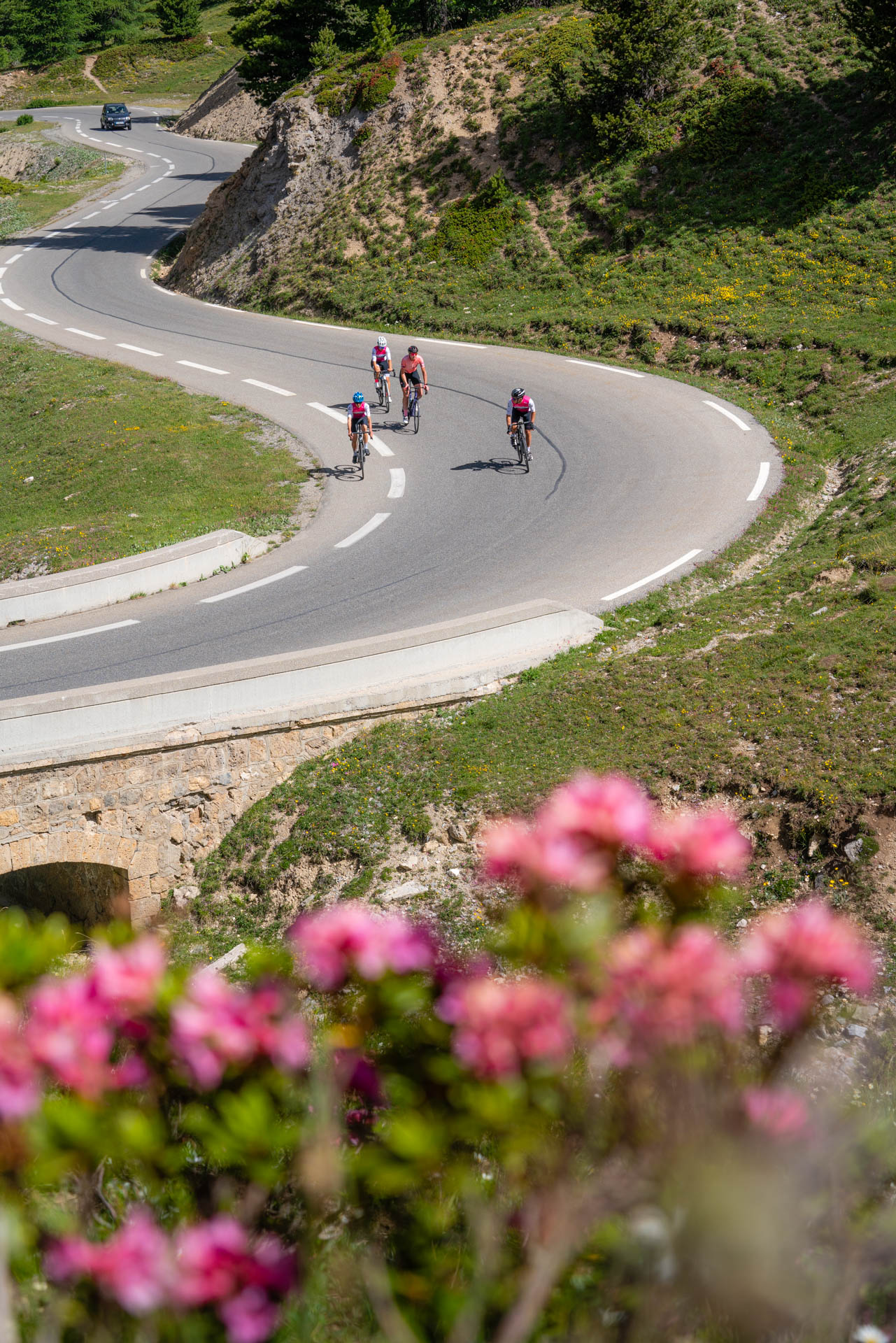Cols R�serv�s - Col de l'Izoard