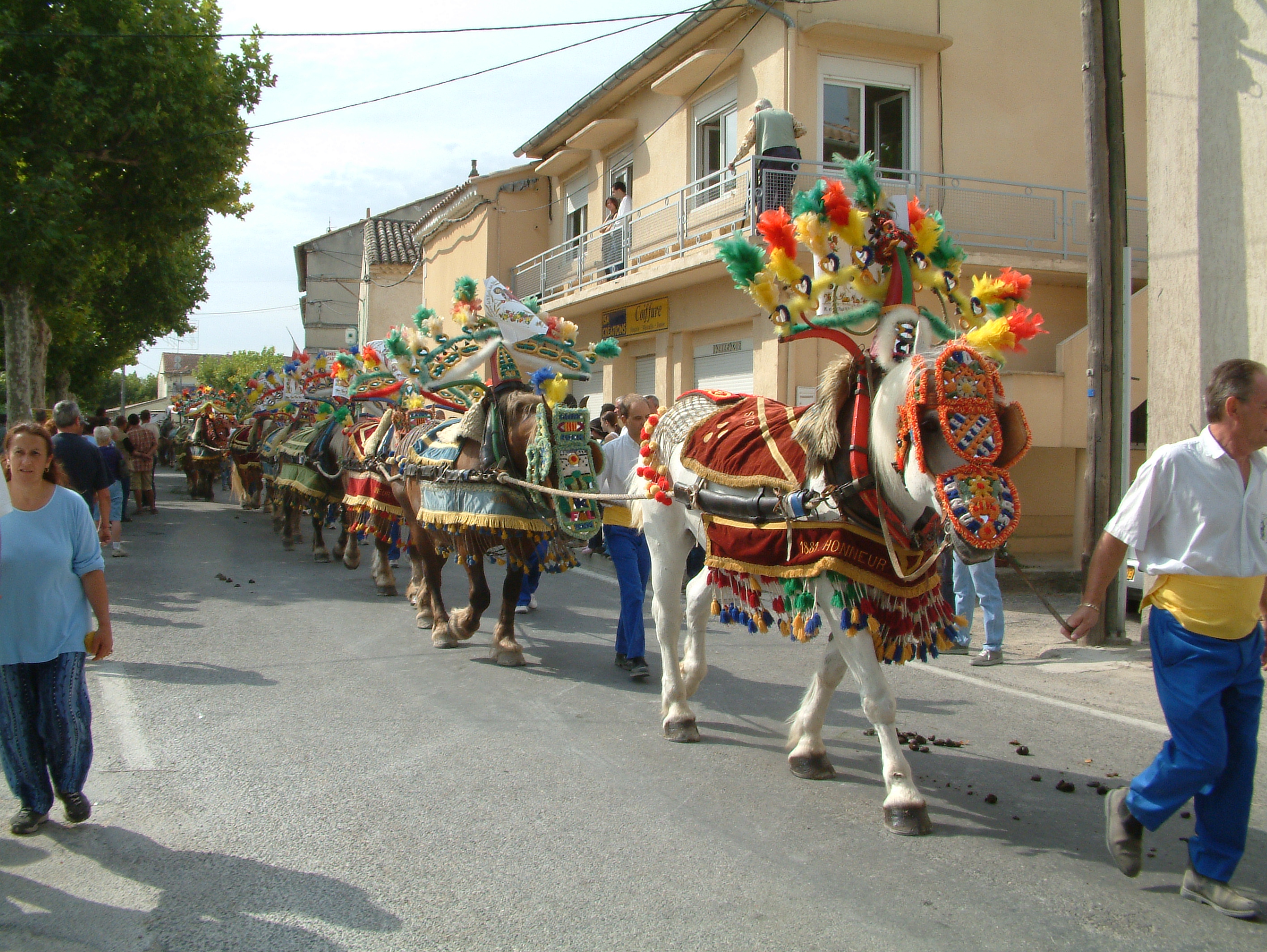 Fte de la Saint Roch des Paluds