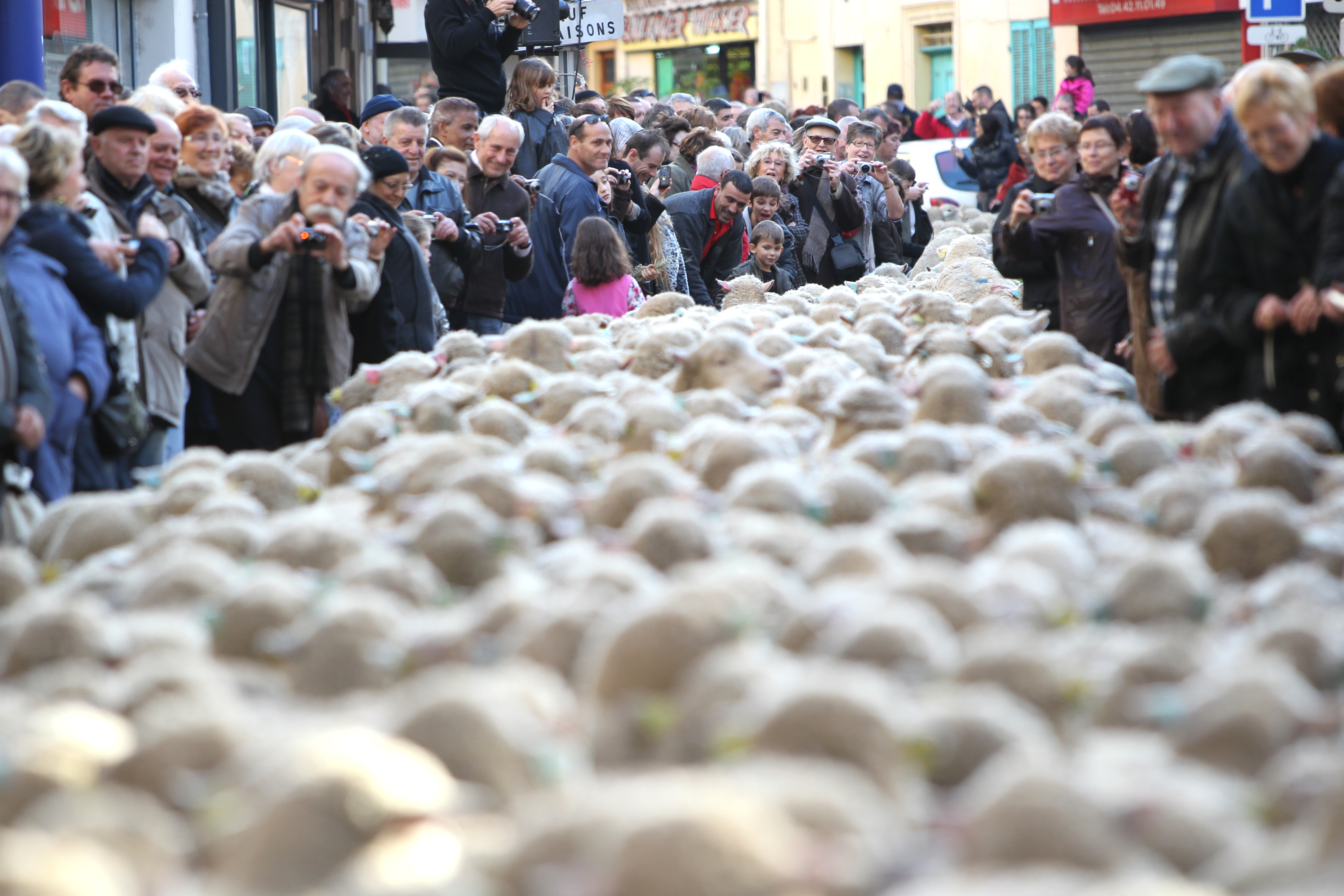 Fte des Bergers et des Traditions