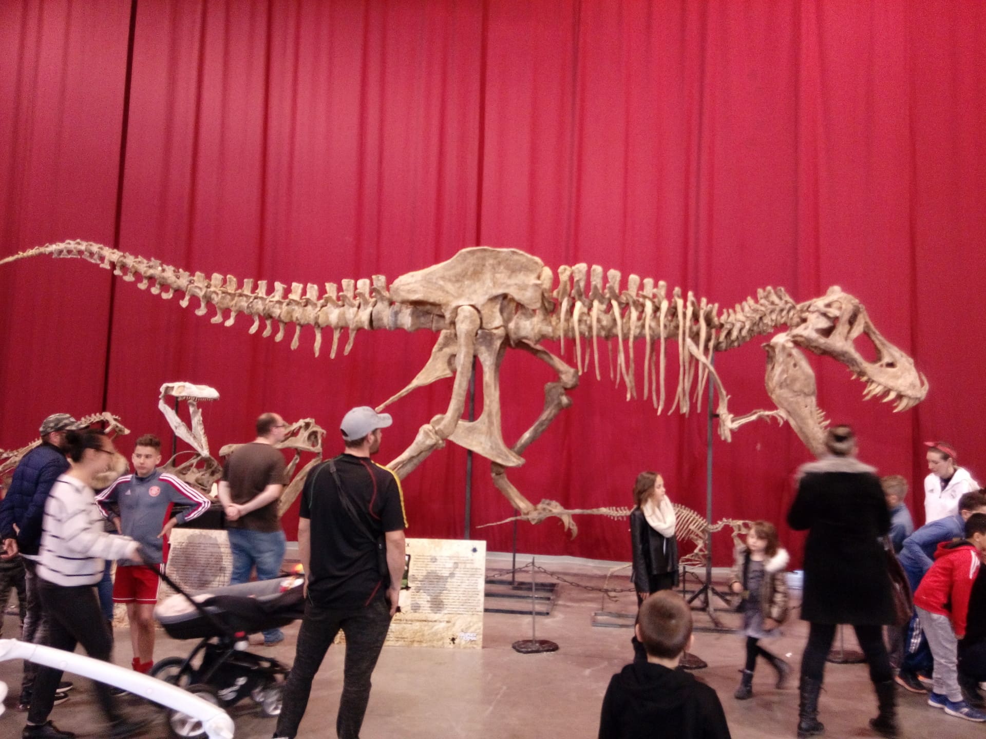 Salon international des minraux de Martigues