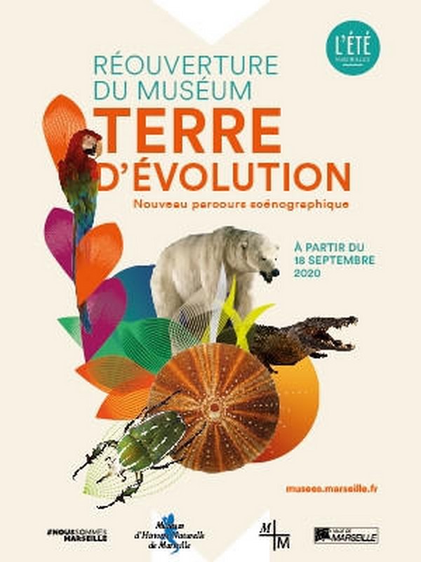 Collection permanente du Mus�um d'Histoire Naturelle de Marseille