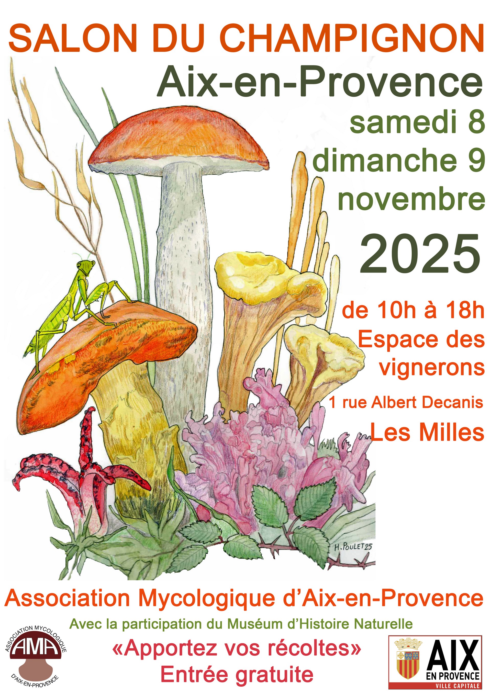 Salon du champignon