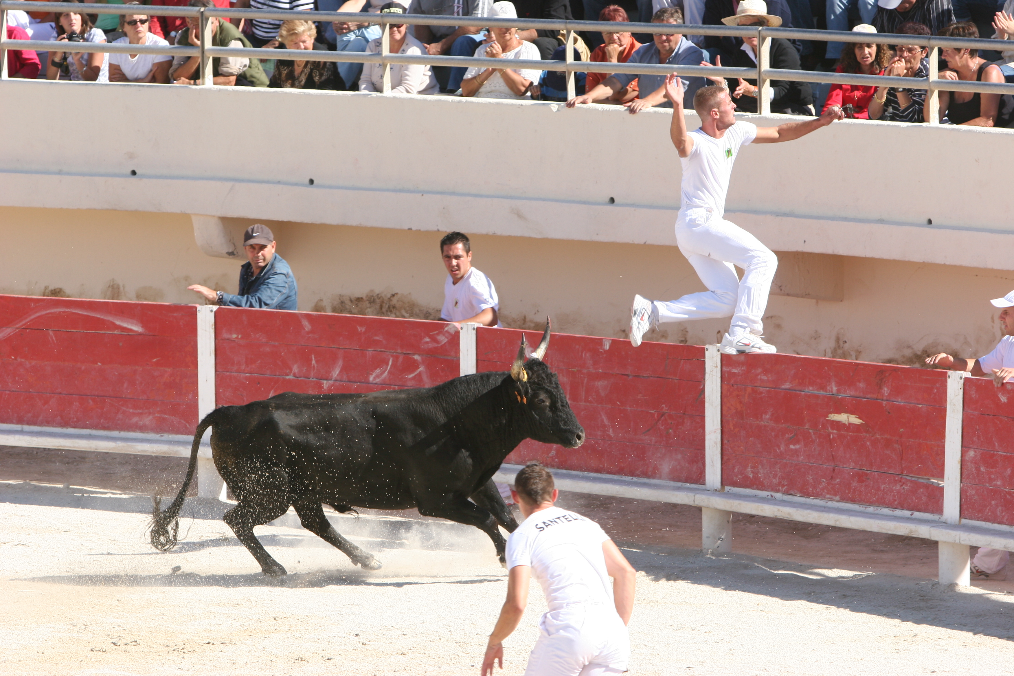 Journ�e Taurine caritative