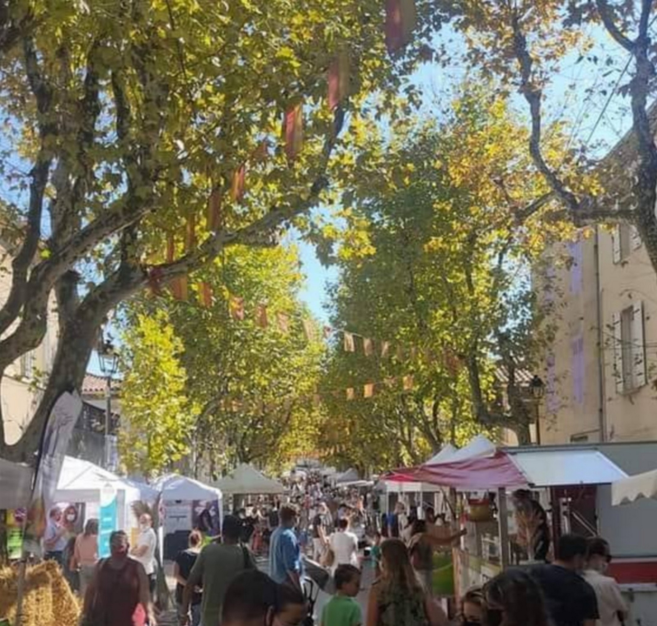 Foire de la Saint Michel 52me dition