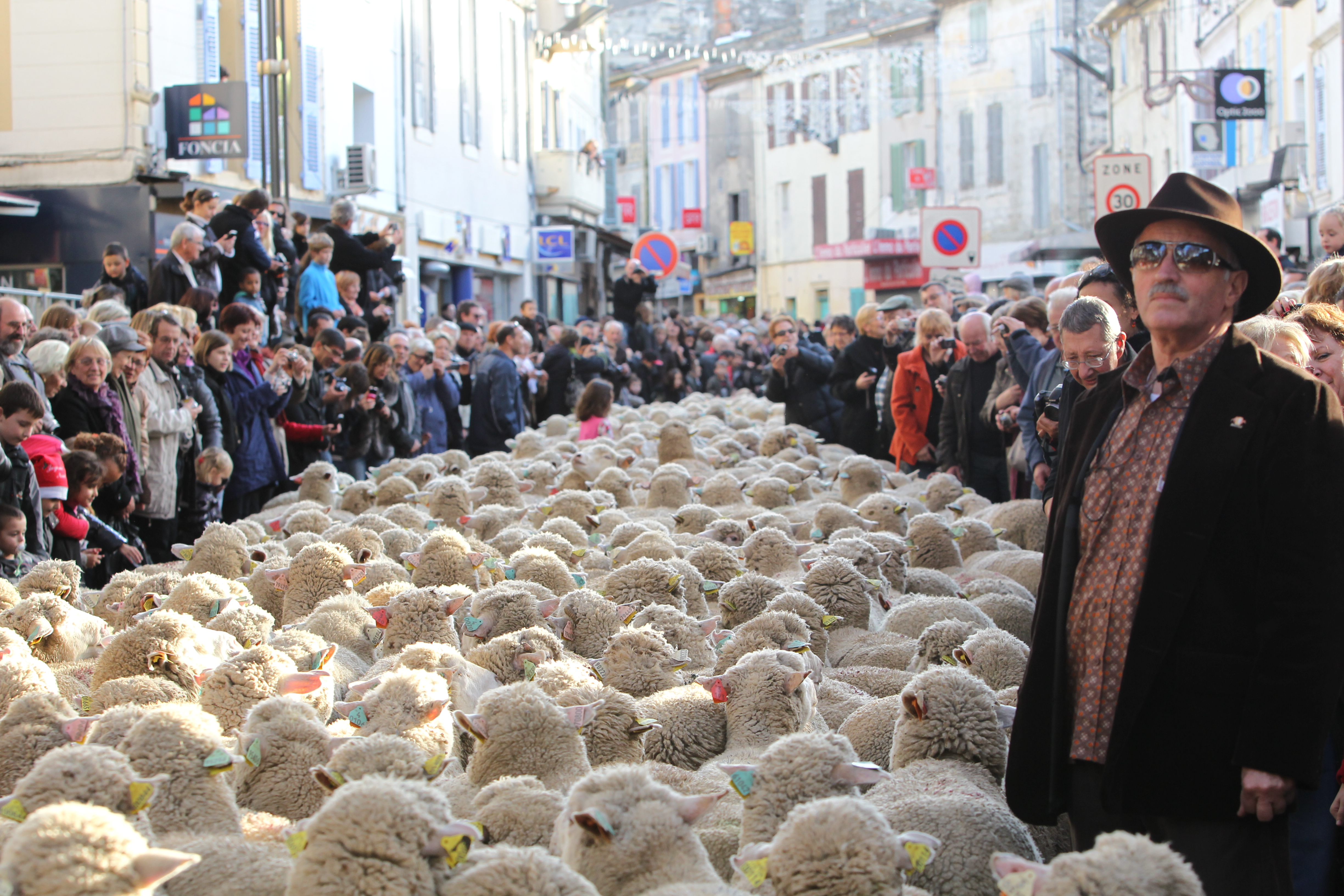 Messe en provenal, grand dfil de la transhumance et spectacle de clture