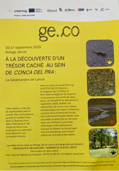 A la dcouverte d'un trsor cach au sein de Conca del Pra : la Salamandre de Lanza