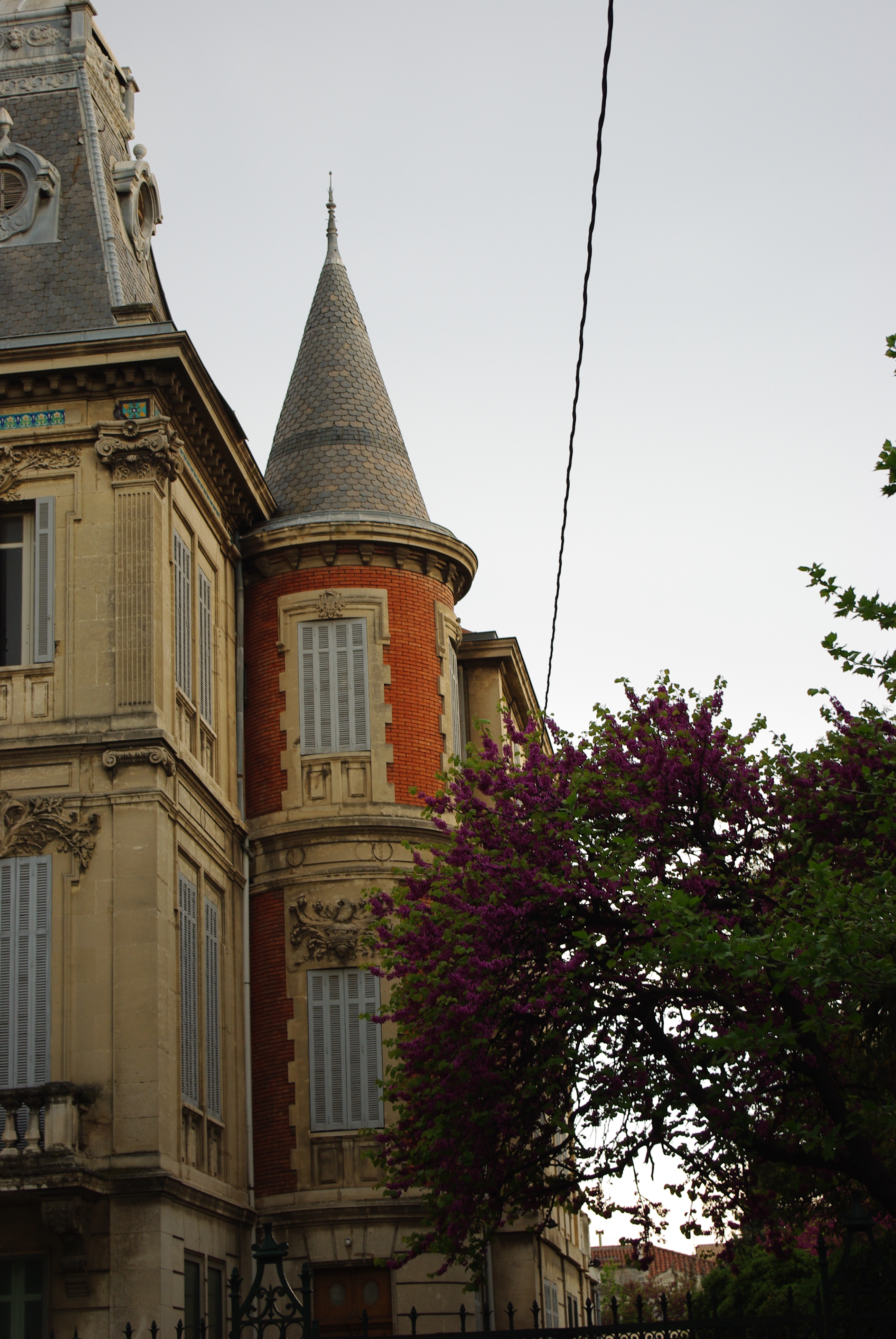 Visites guides : Centre Historique