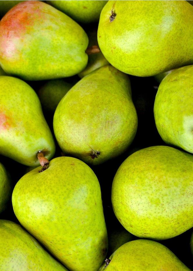 March� du jeudi (6 exposants)