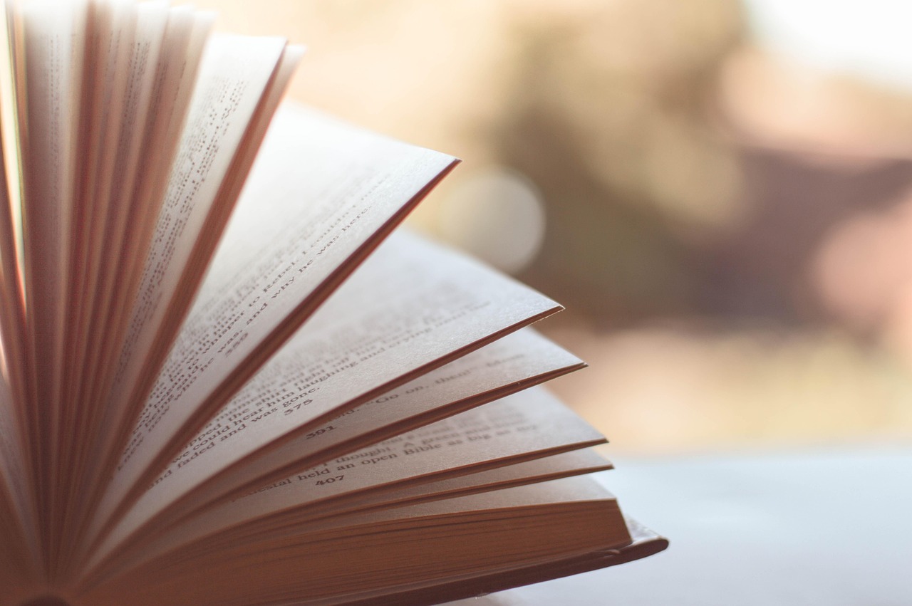 Journ�es Europ�ennes du Patrimoine : troc livres et rencontre-d�dicace