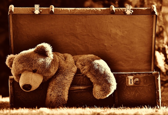 Bourse aux jouets et puriculture