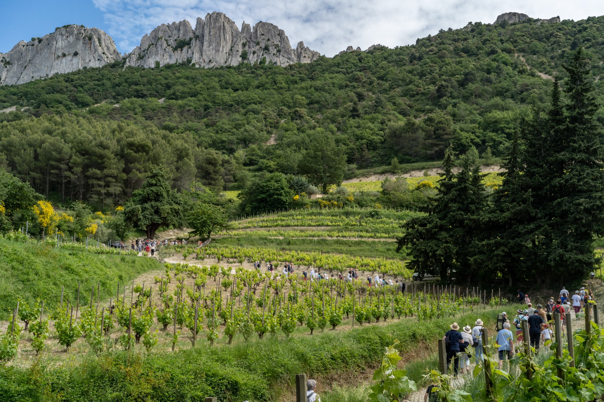  la croise des terroirs