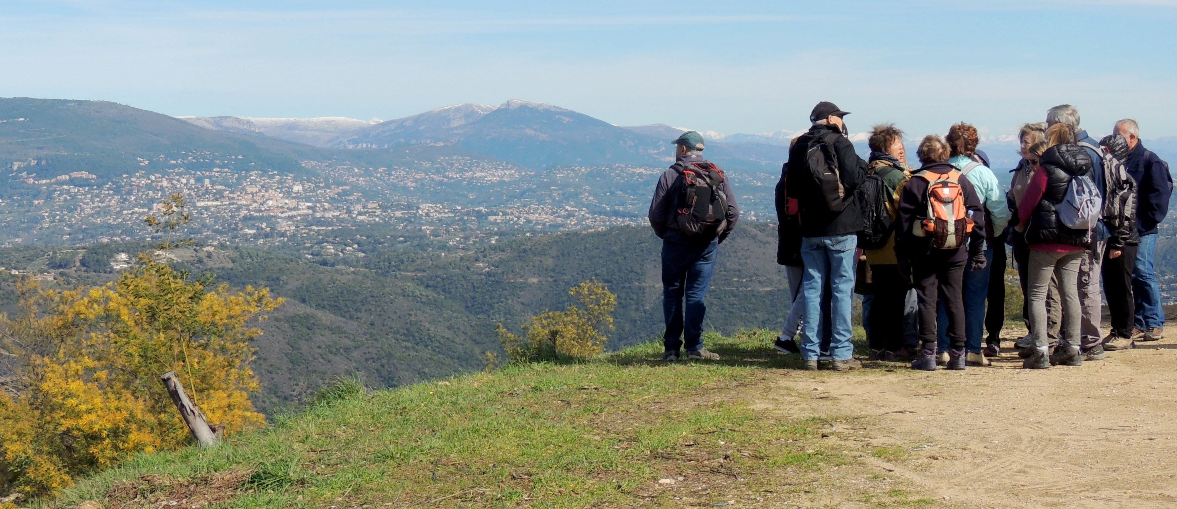 Le Mimosa et le massif du Tanneron- balade guide par Majorie