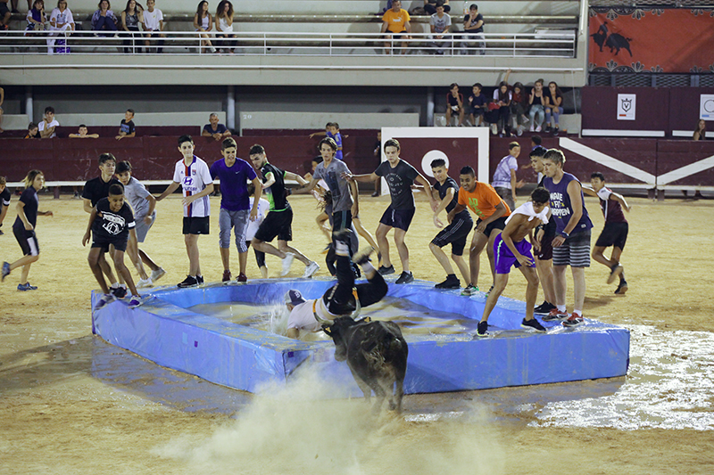 Toro piscine