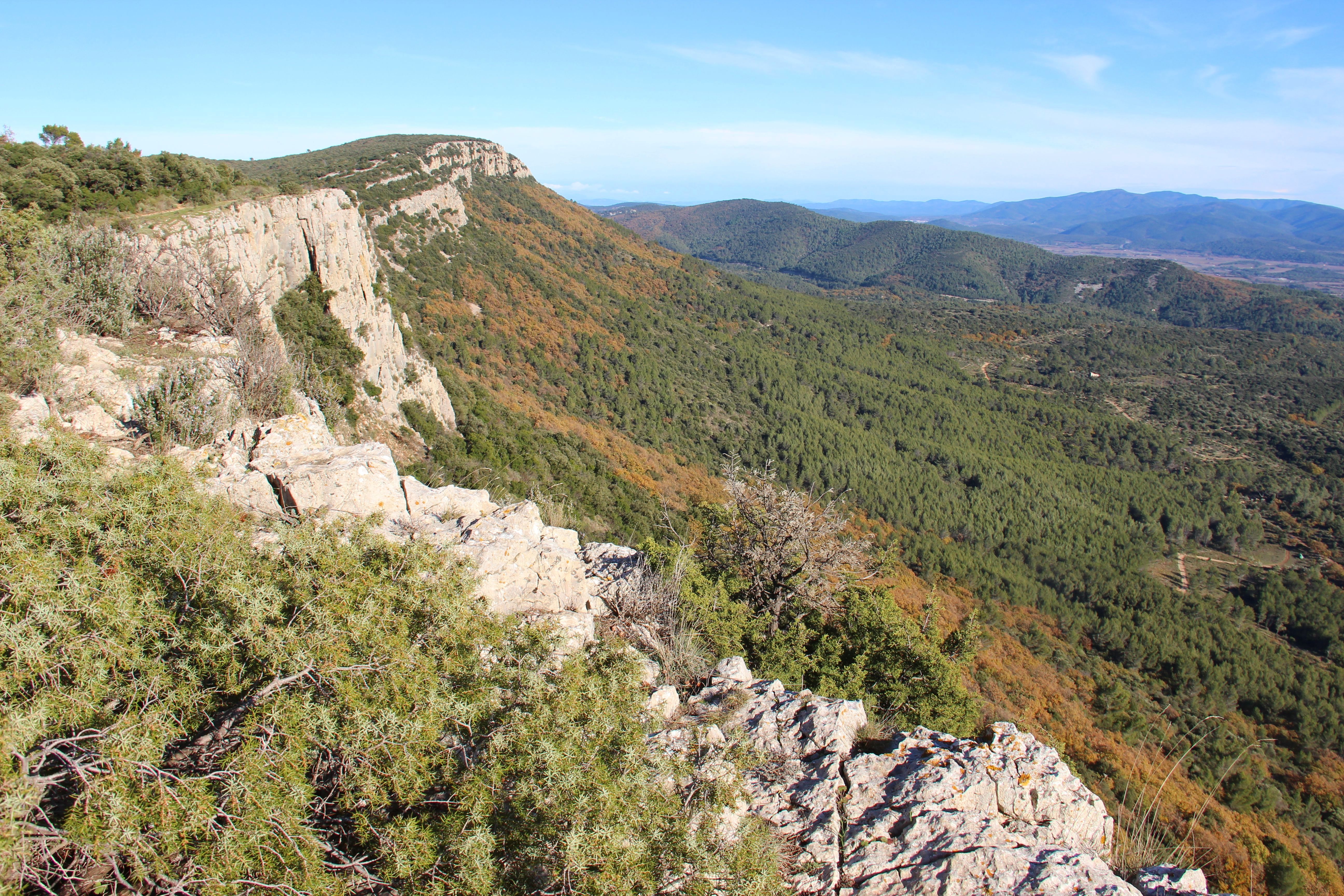 Randonn�e guid�e d'observation de la nature au sommet des Barres de Cuers
