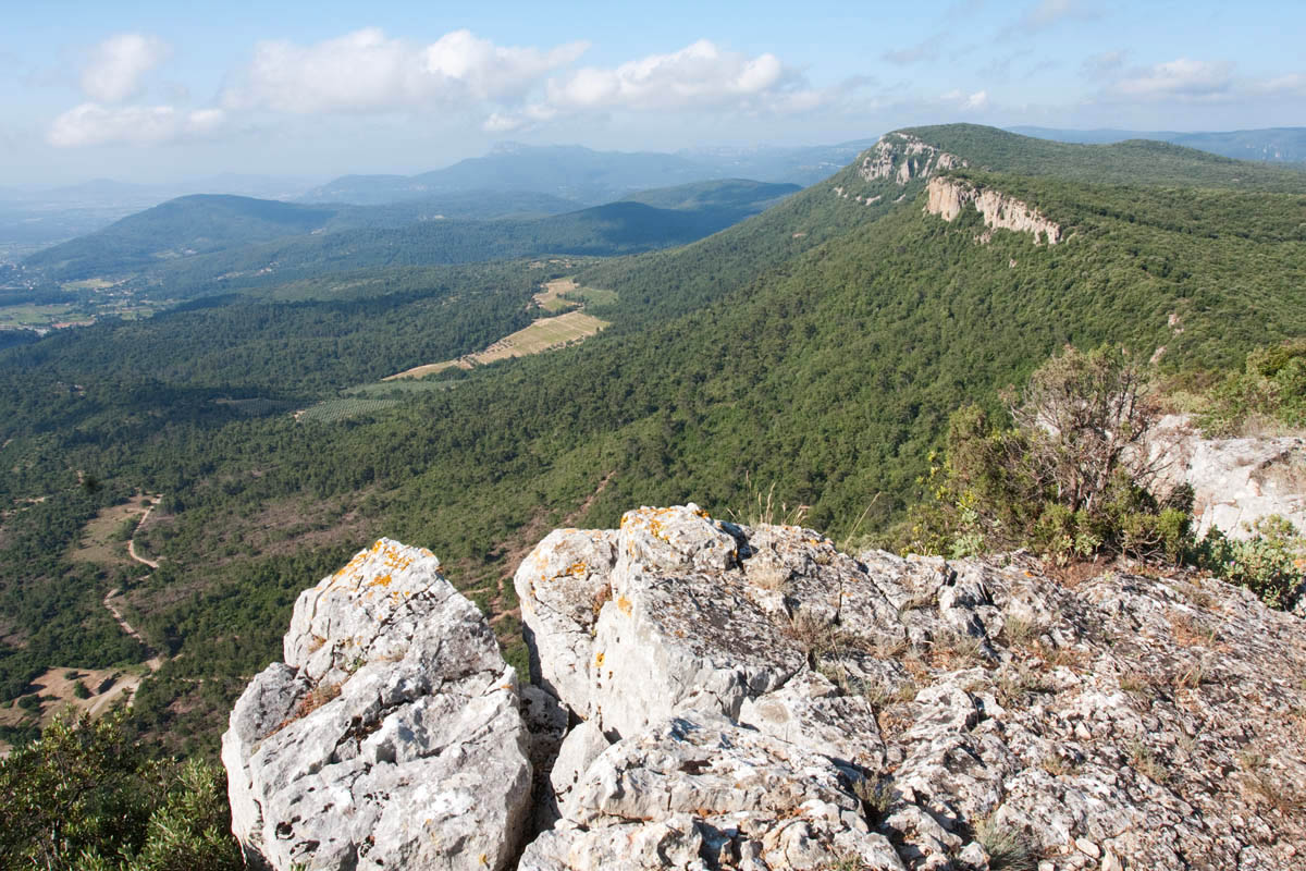 Randonne d'observation de la nature au sommet des Barres de Cuers