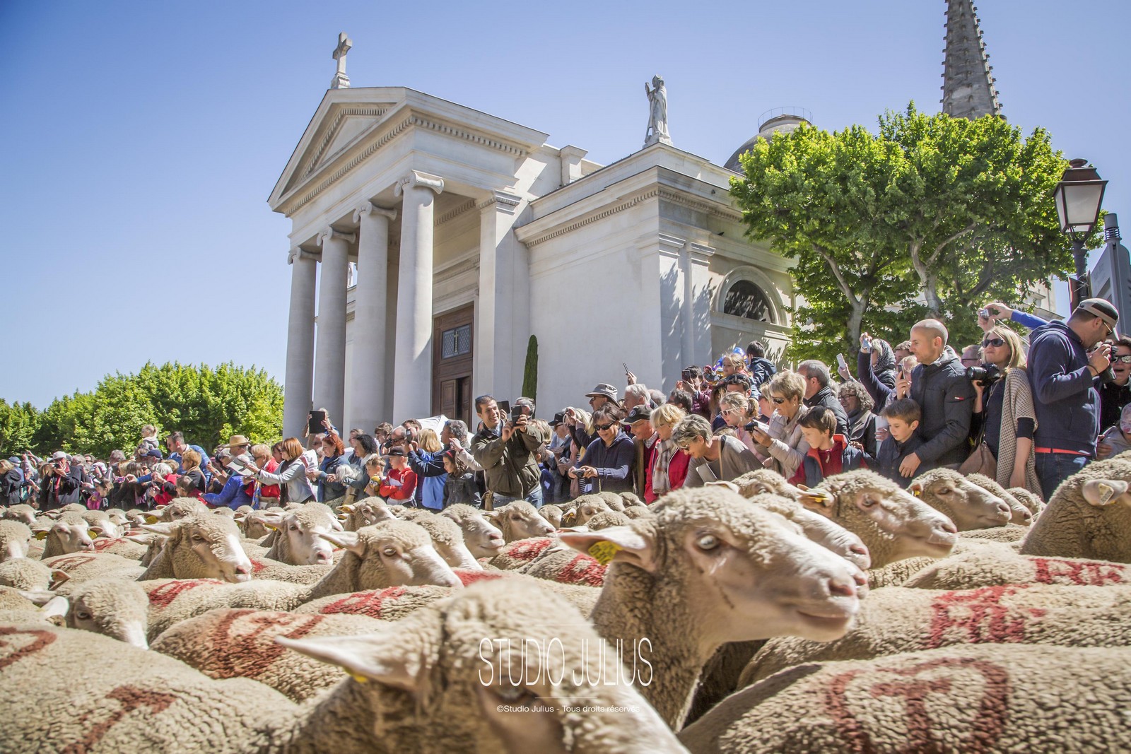 Fte de la Transhumance 2025