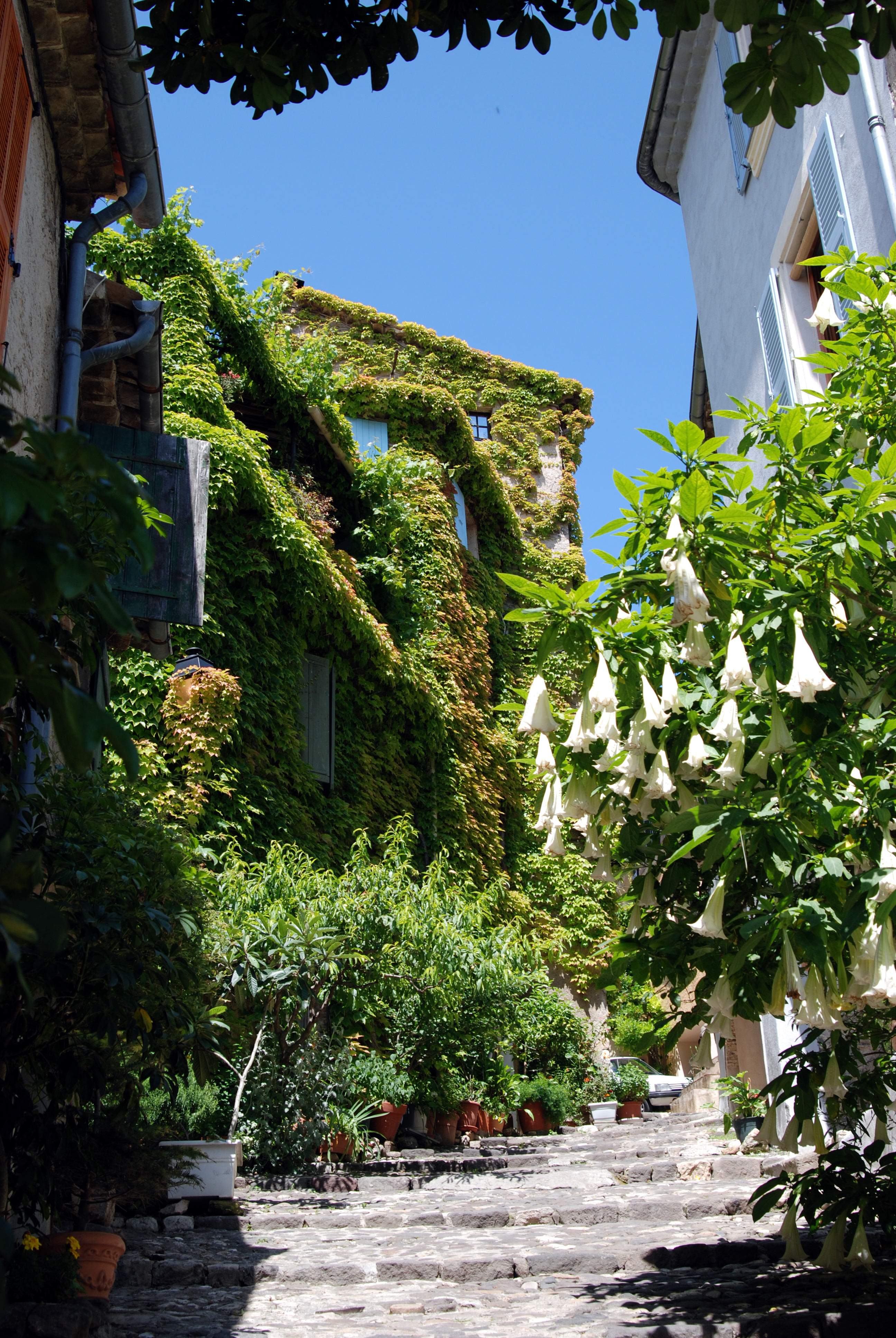 Bienvenue  Biot