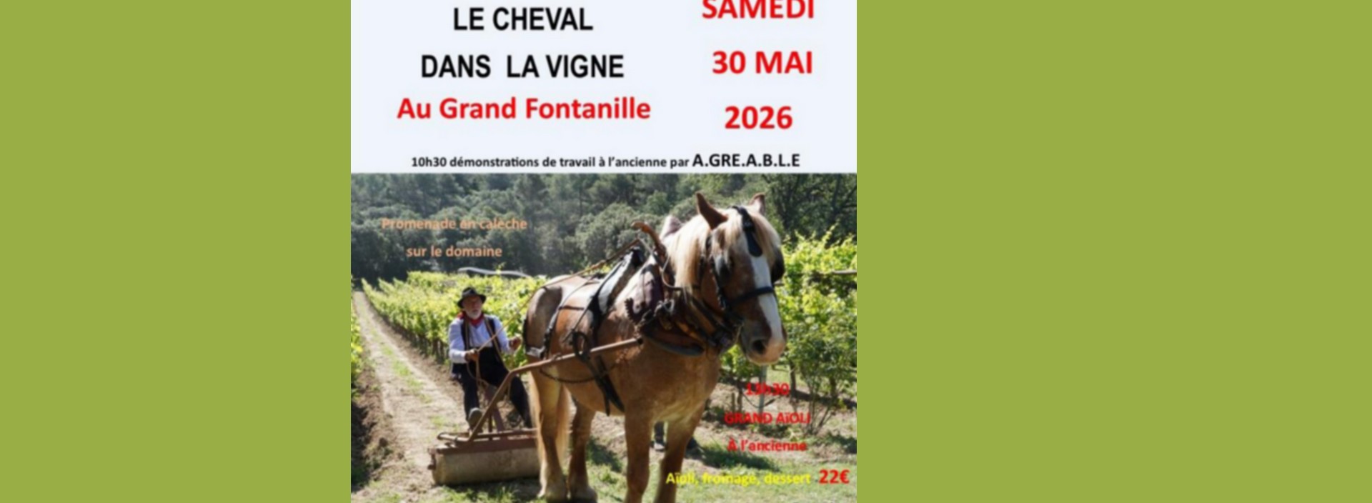 Le Cheval dans la Vigne 2026 - 12�me �dition