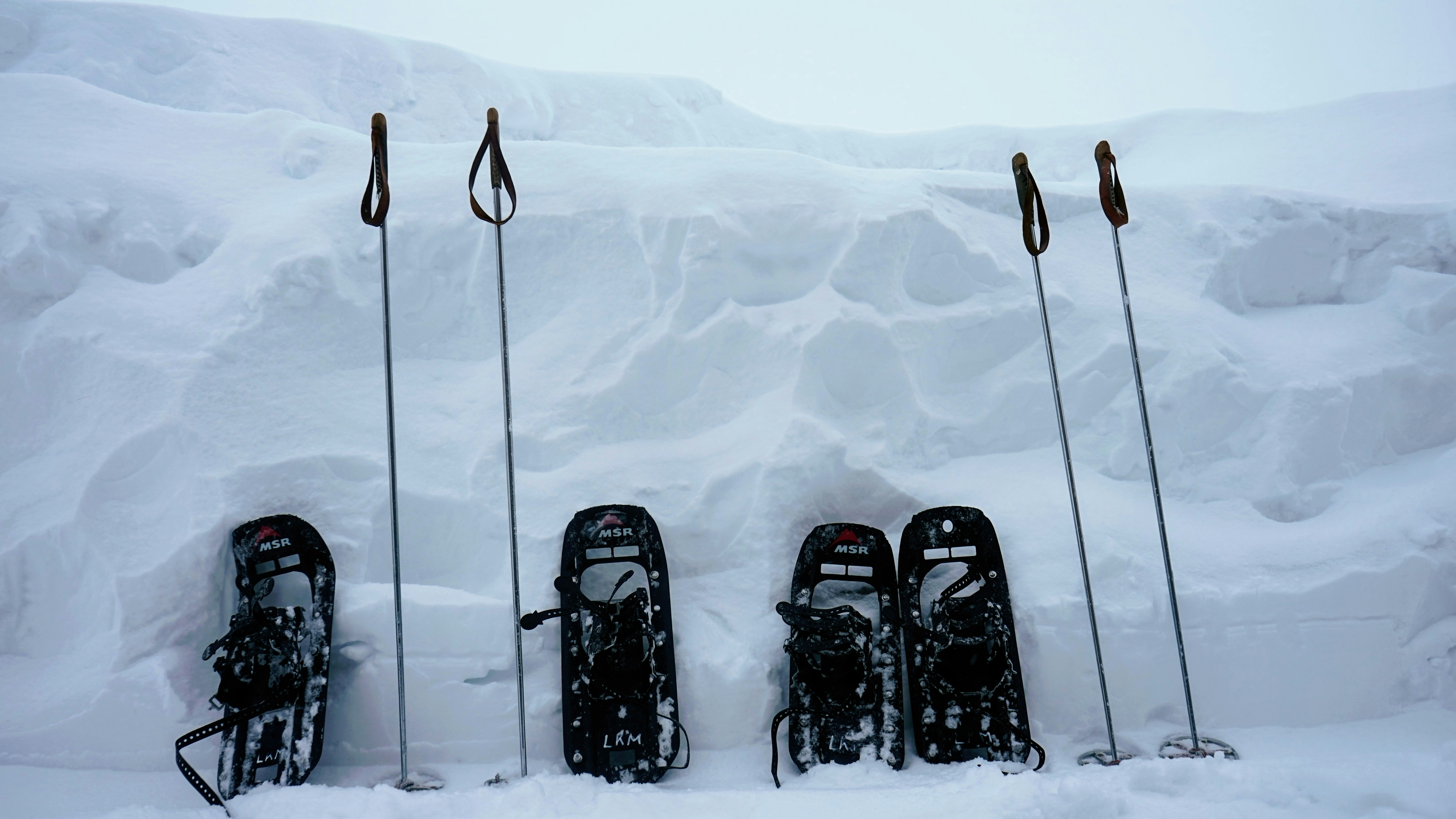 Les Amis de la Neige - Journes orientation