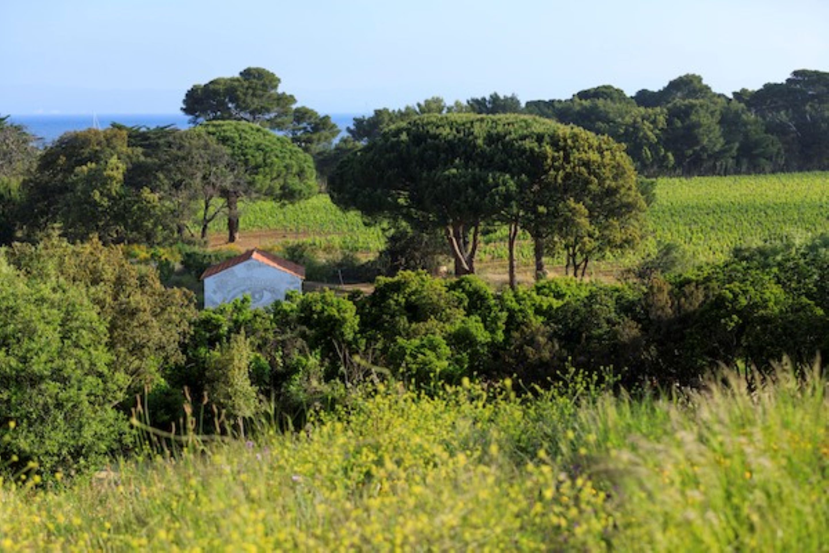 Atelier avec Cyrielle Gulacsy  la Villa Carmignac
