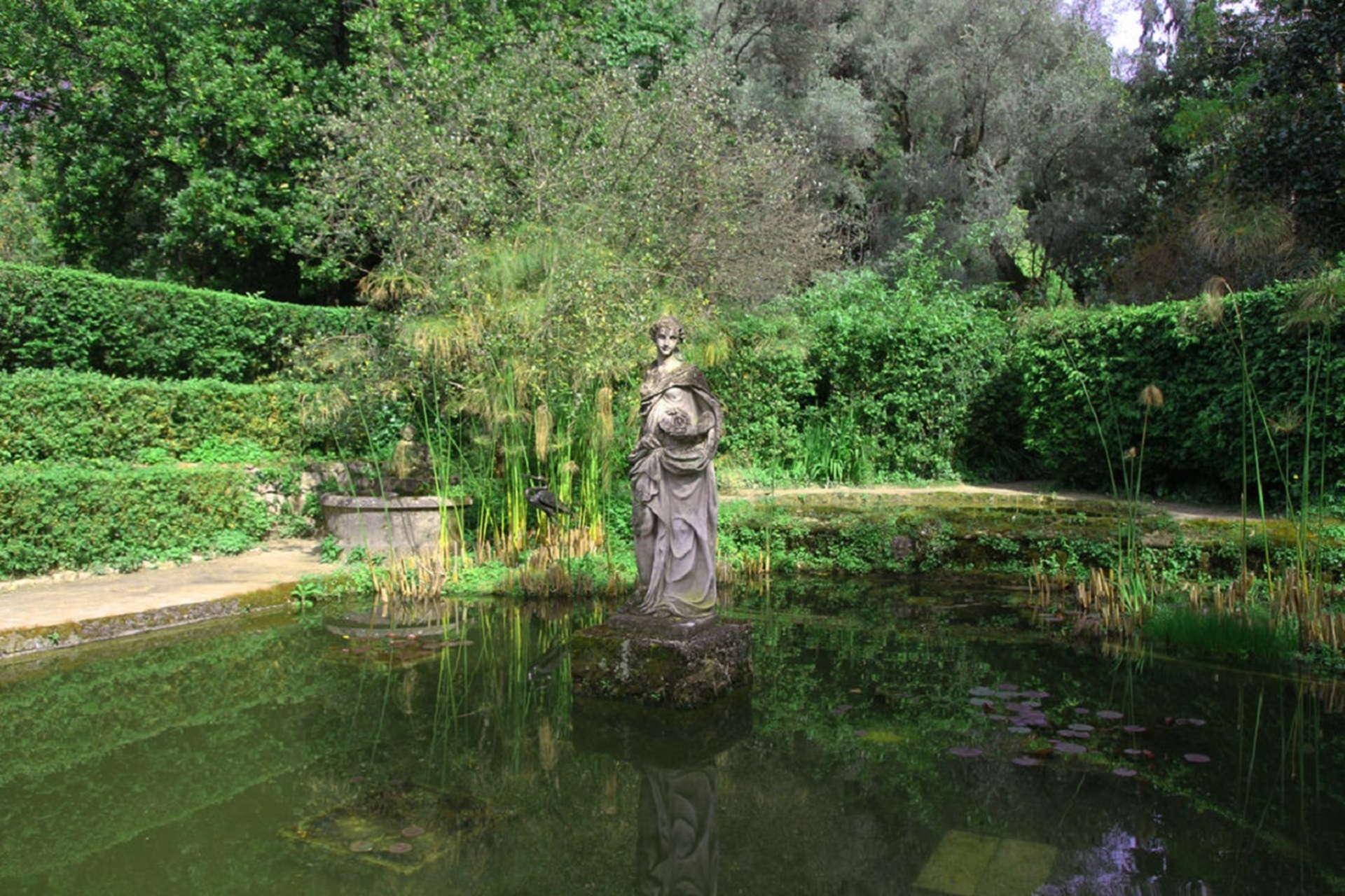 92�me F�te du Citron� - Visite guid�e : Jardin Serre de la Madone